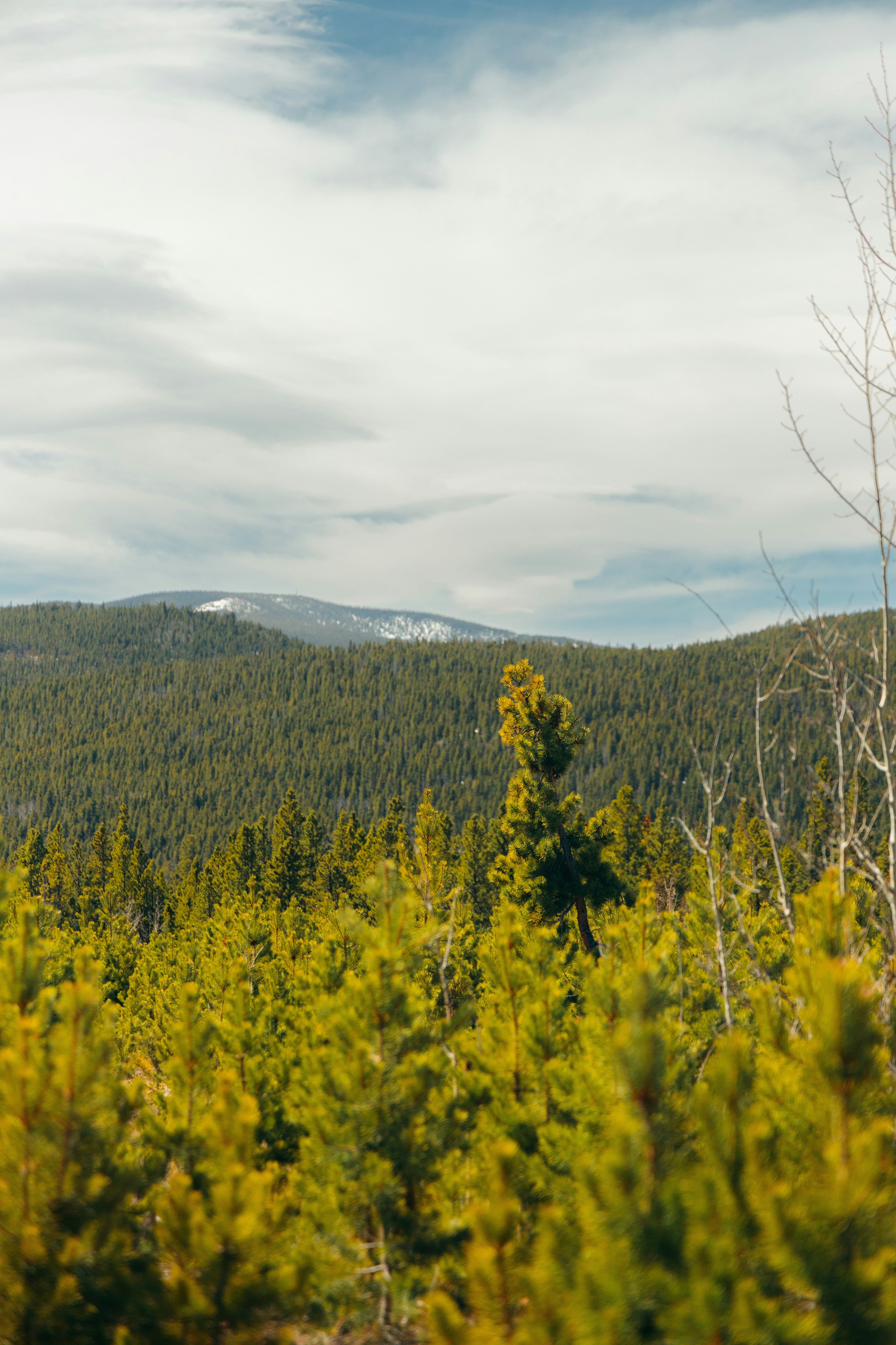 Photo by ldpeterson11