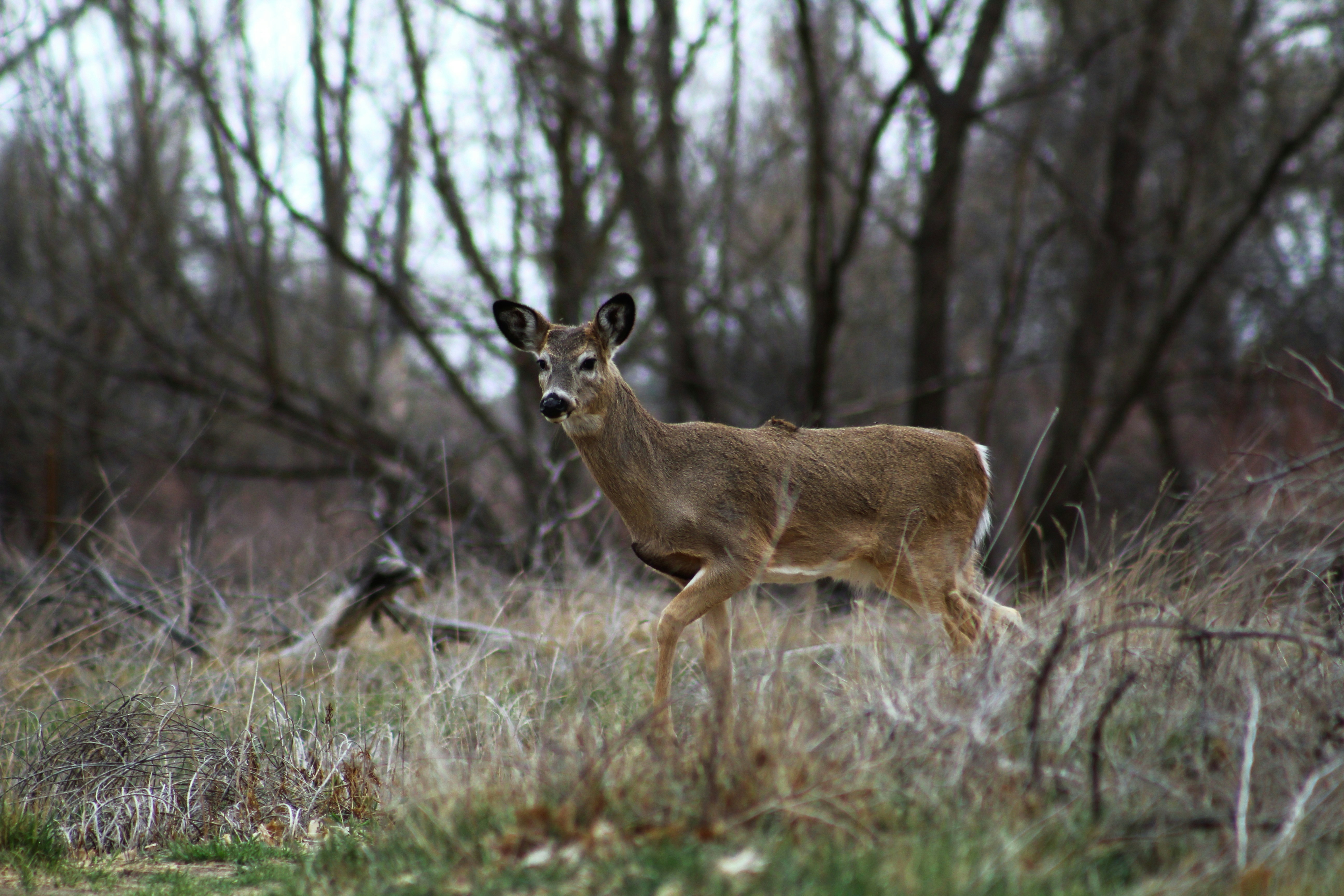 Photo by f_ricephotos