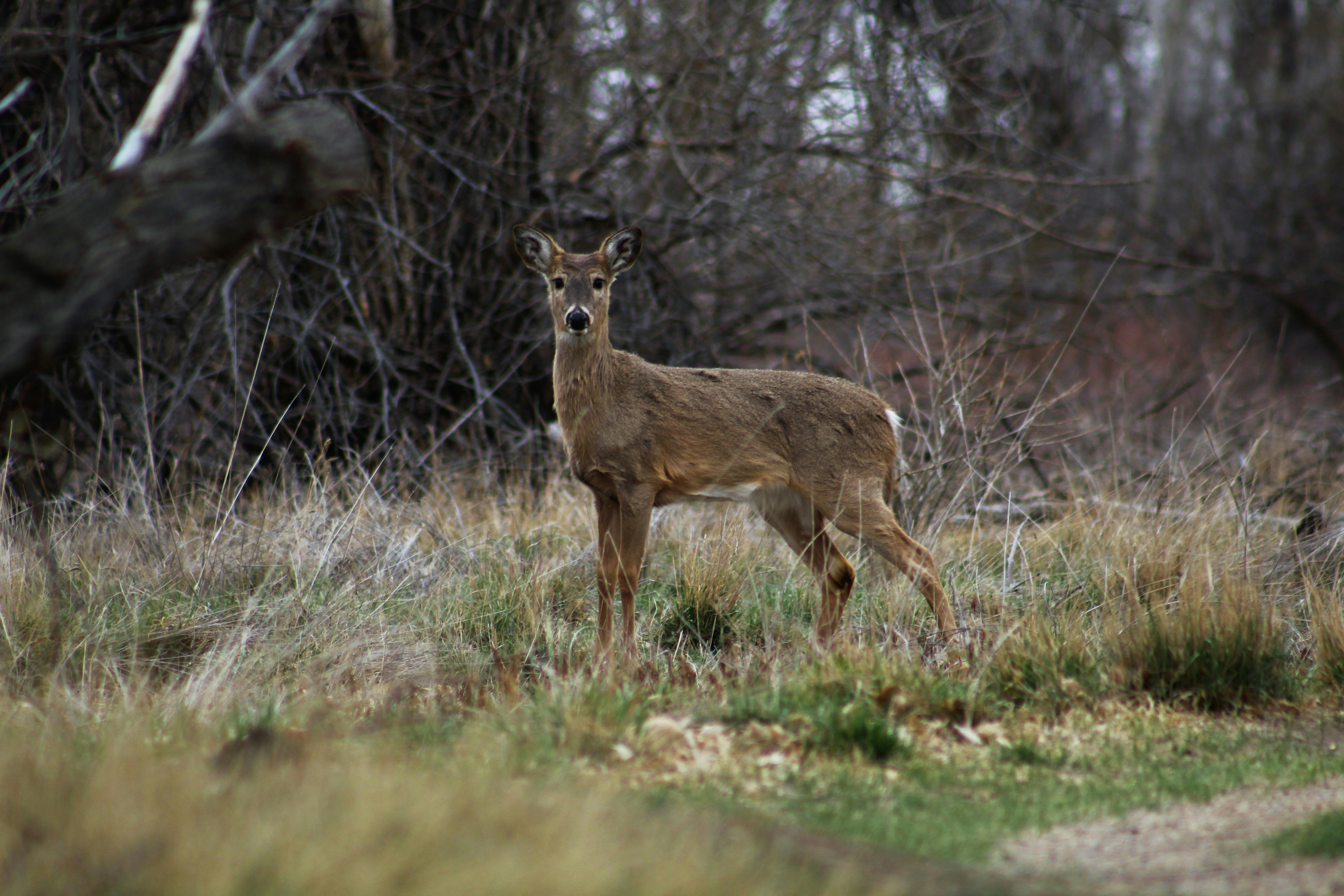 Photo by f_ricephotos