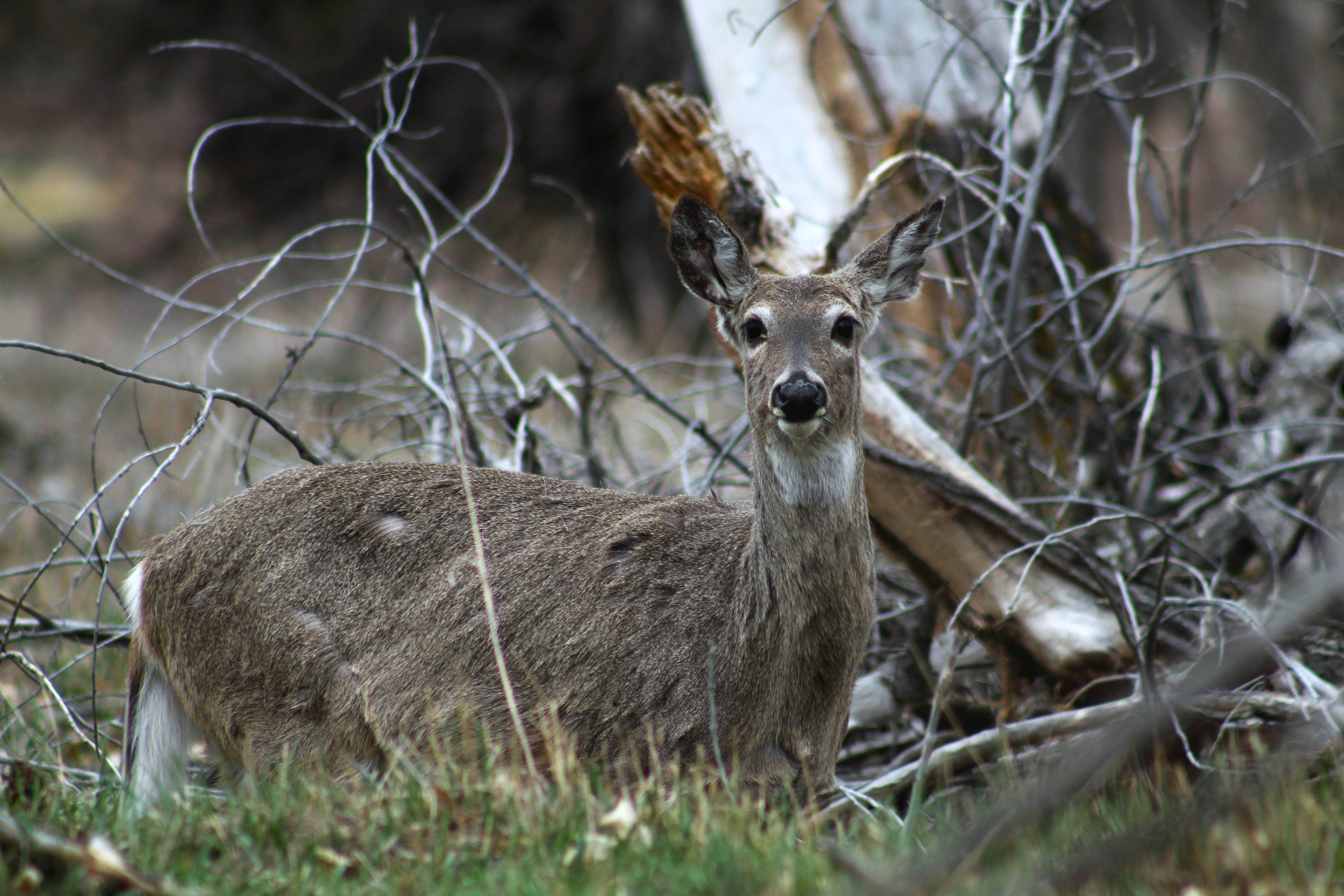 Photo by f_ricephotos