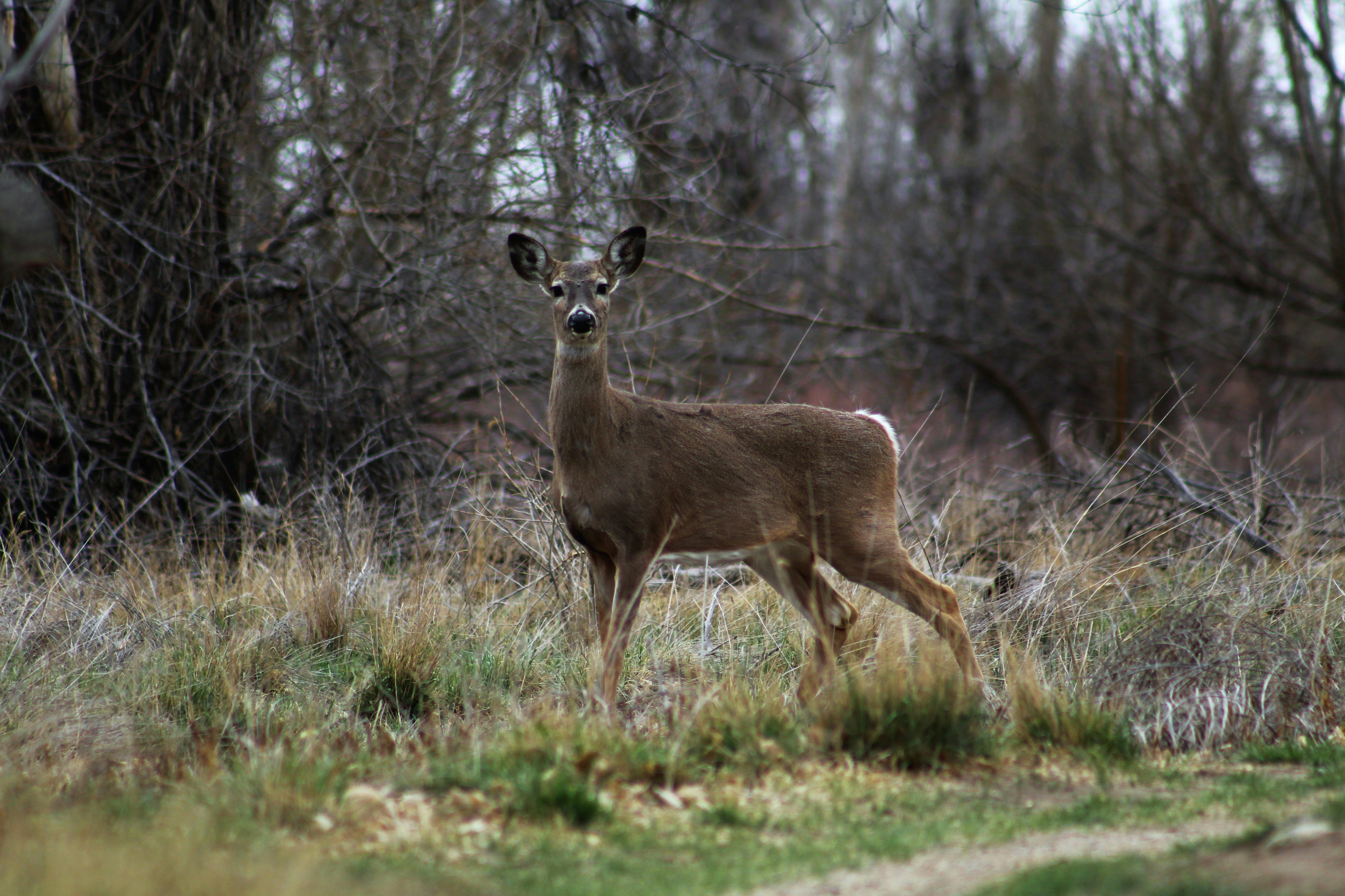 Photo by f_ricephotos