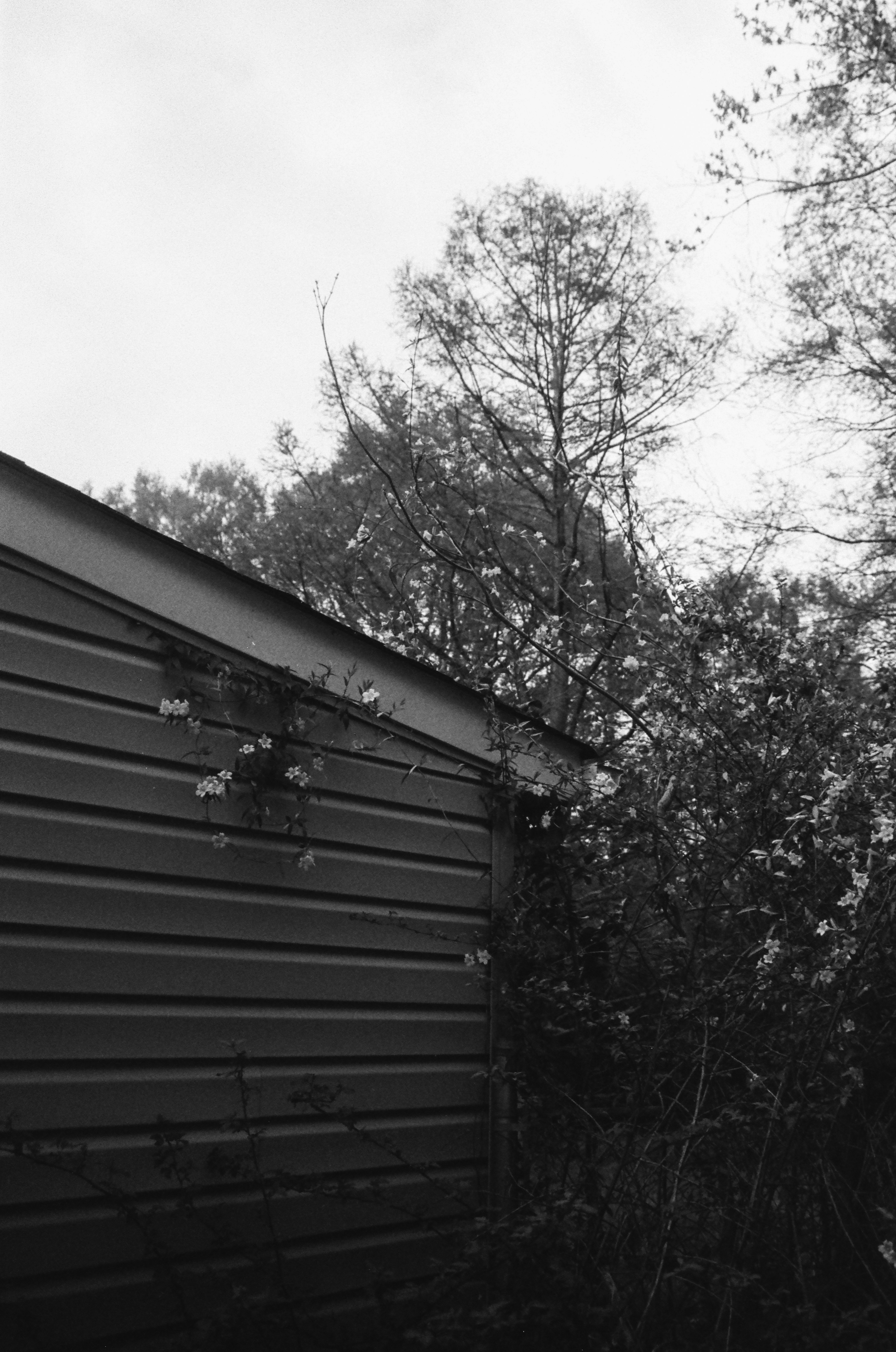 Photo by christianbalentine