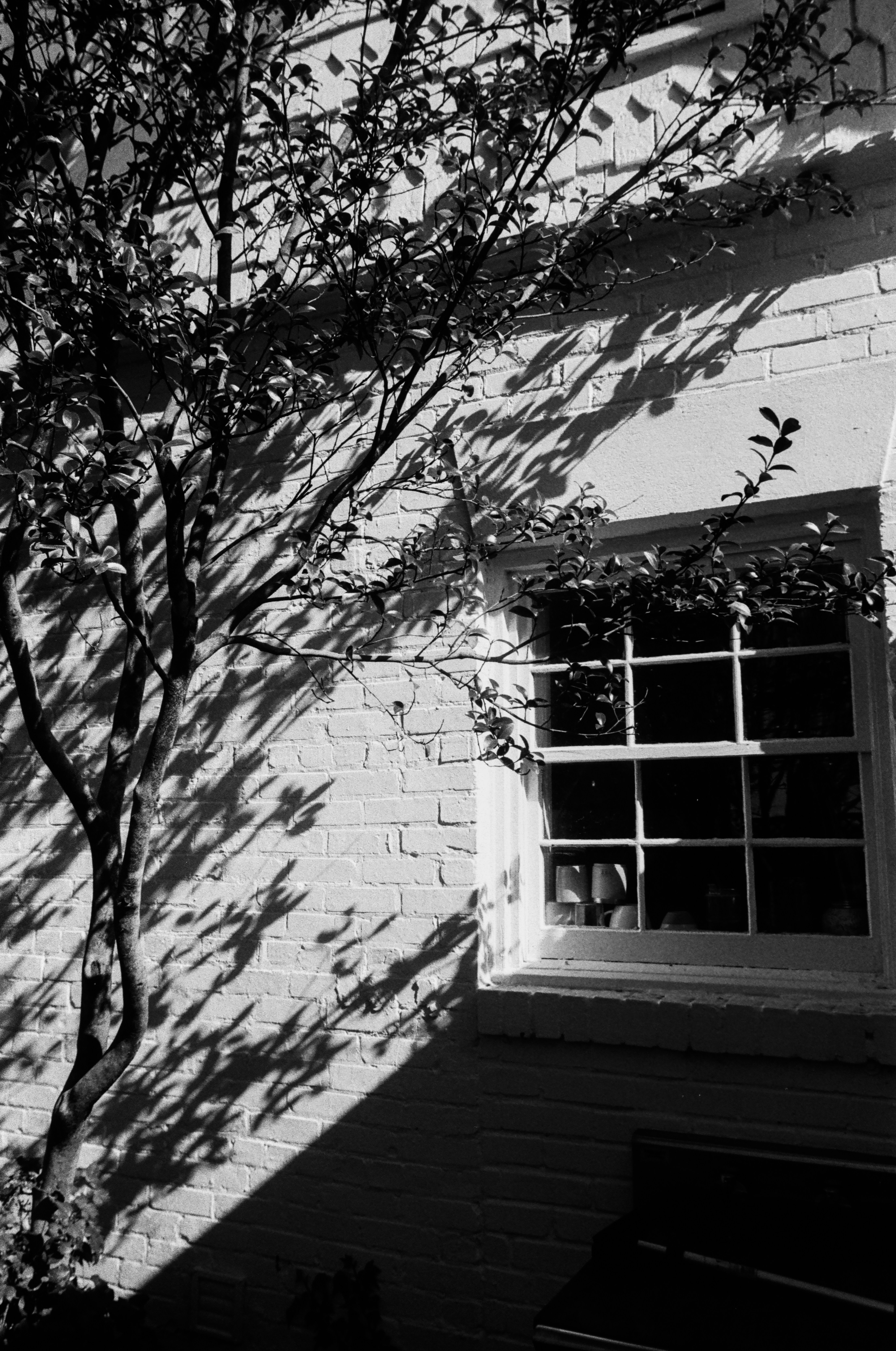 Photo by christianbalentine