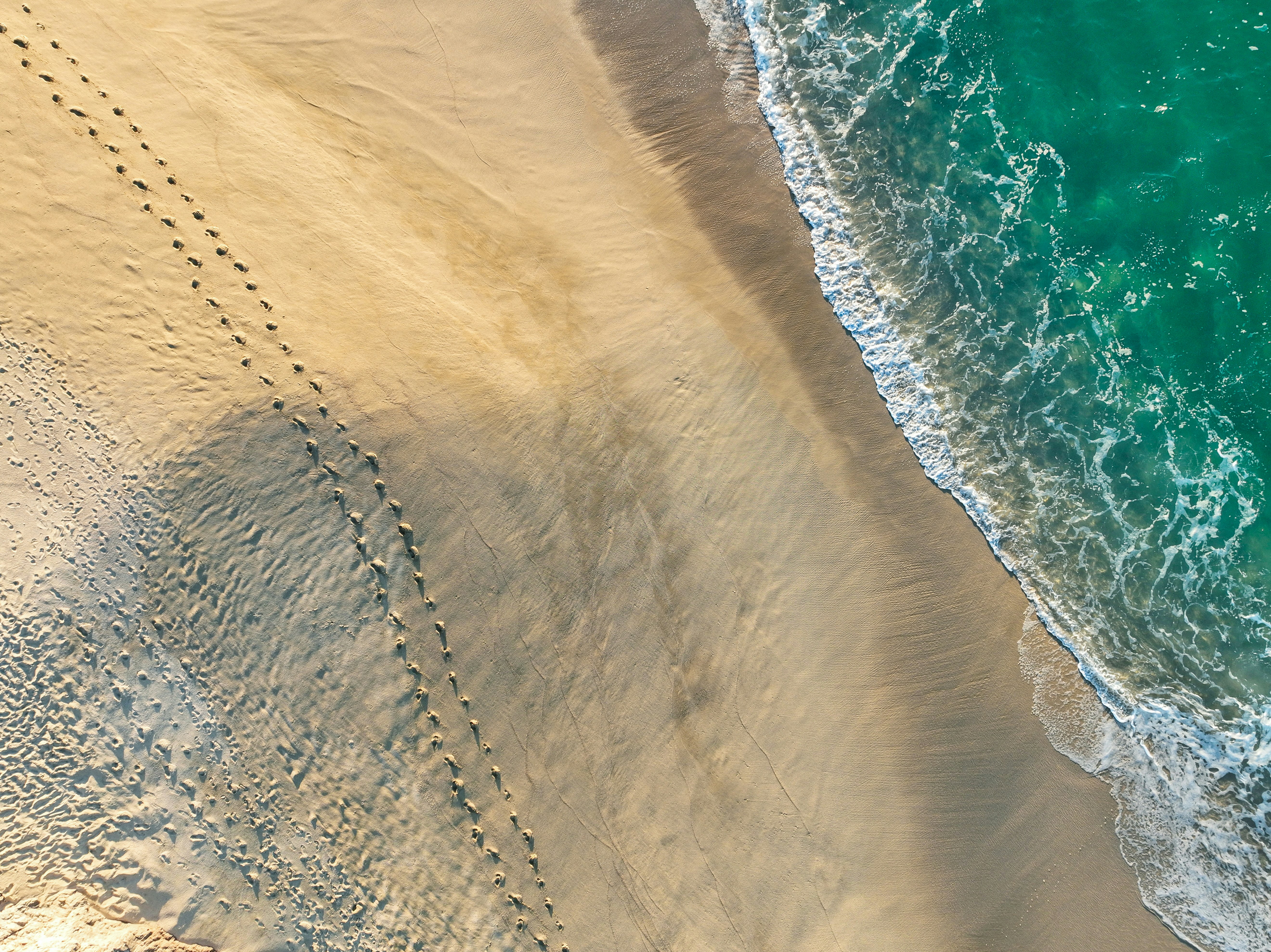 Footprints on a sandy beach next to the turquoise sea.