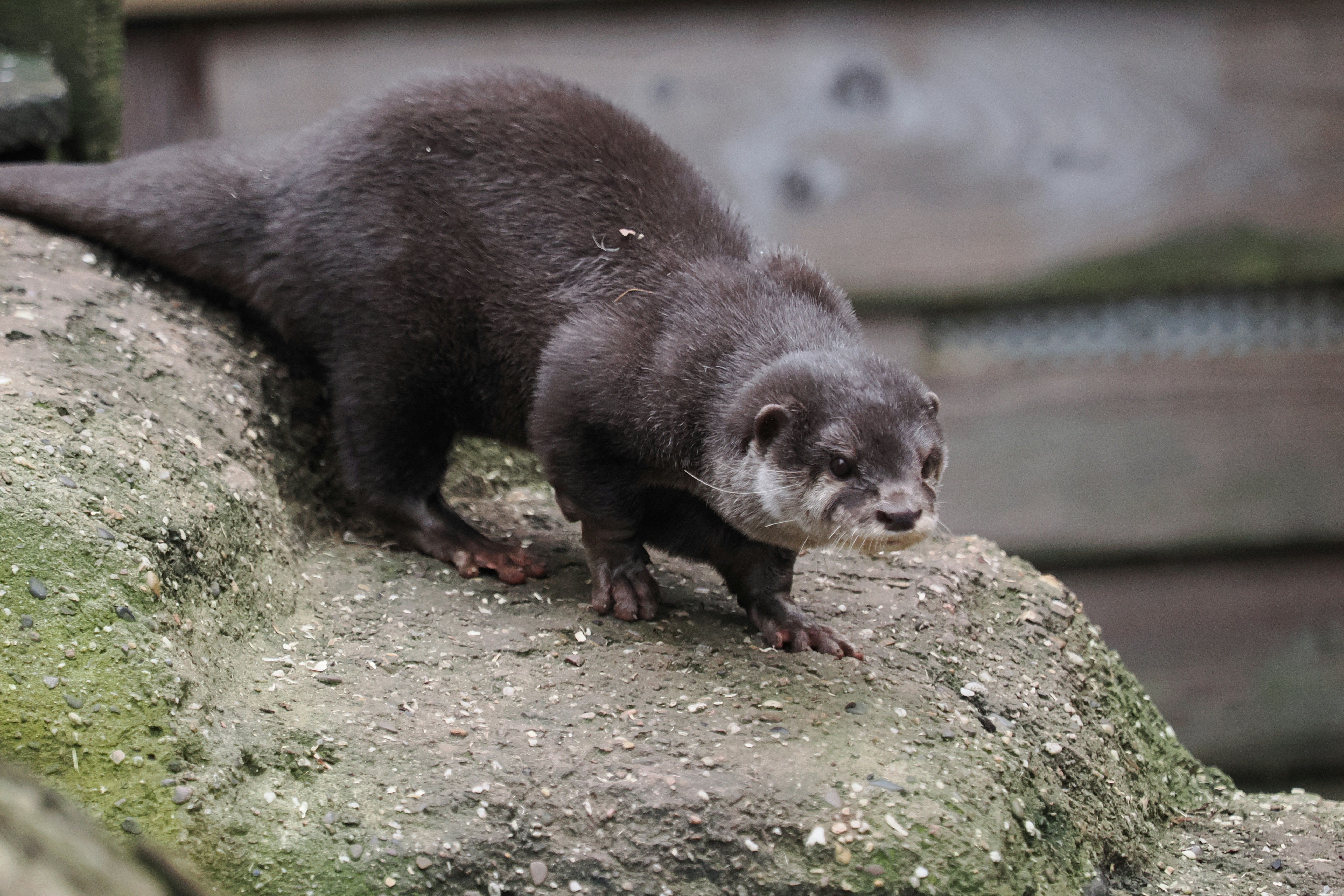 Photo by fotografie_thomas_nolte