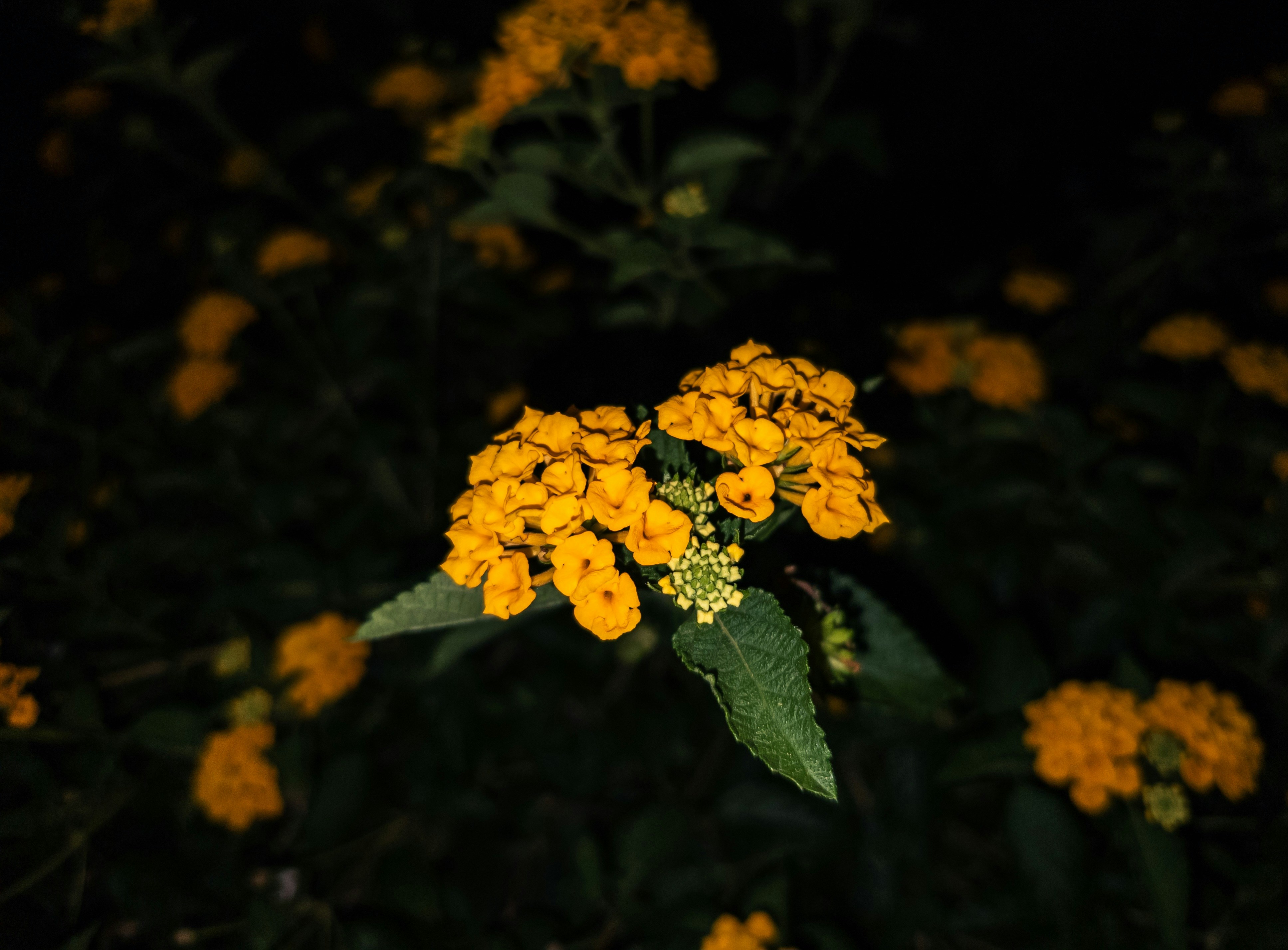 Photo by rc820