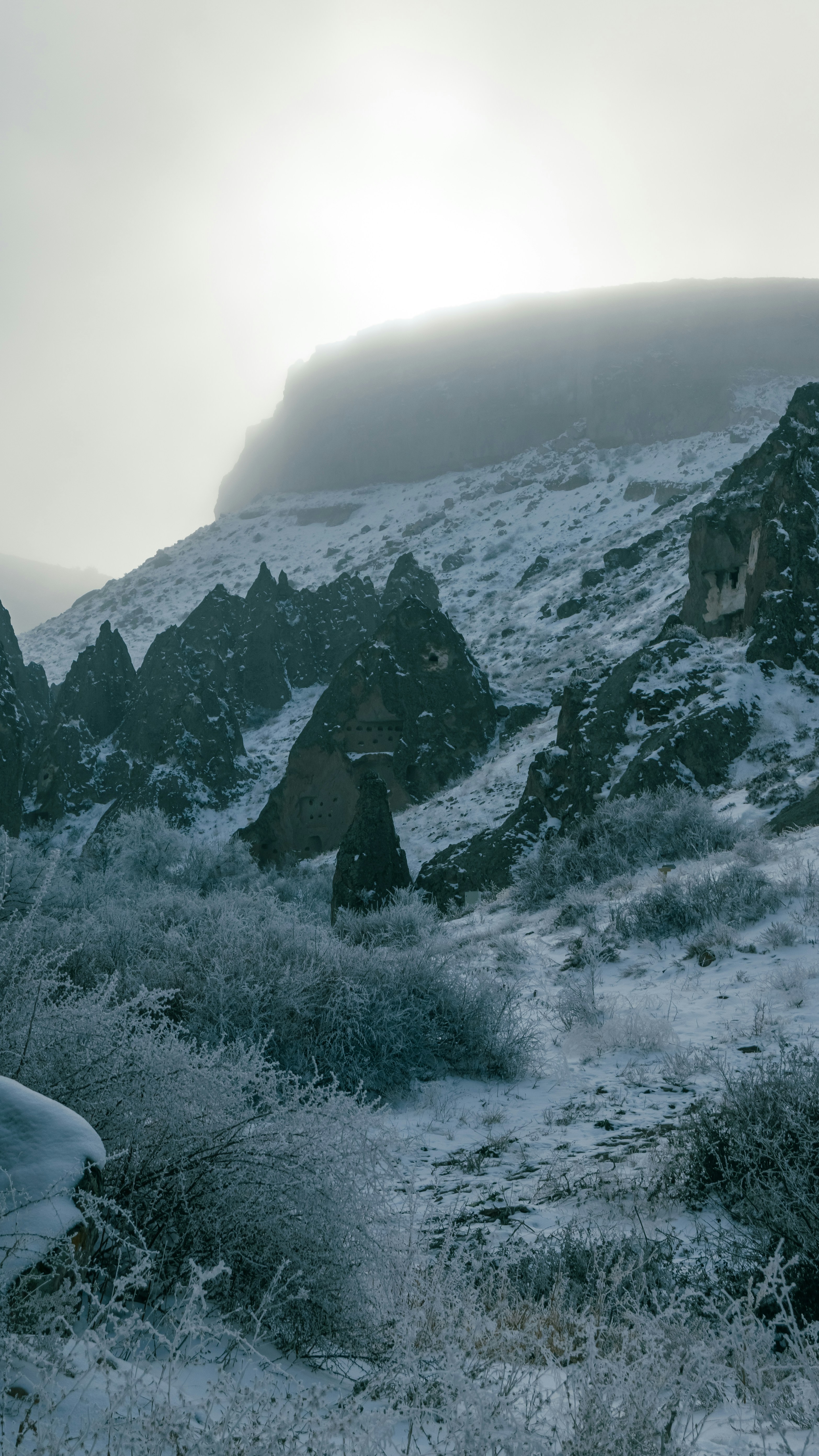 Snowy mountains and strange rock formations are visible.