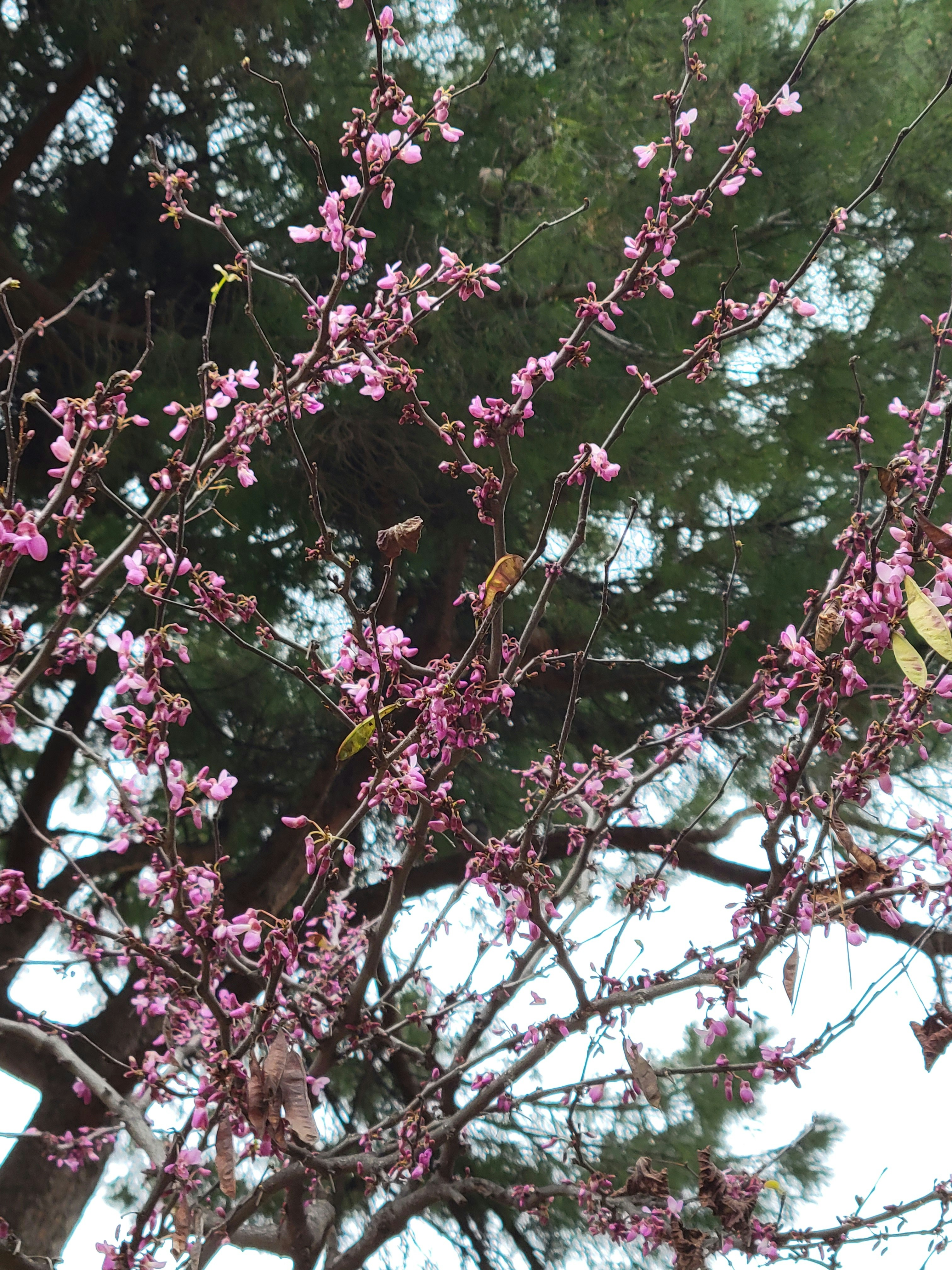 Photo by haripriya_k