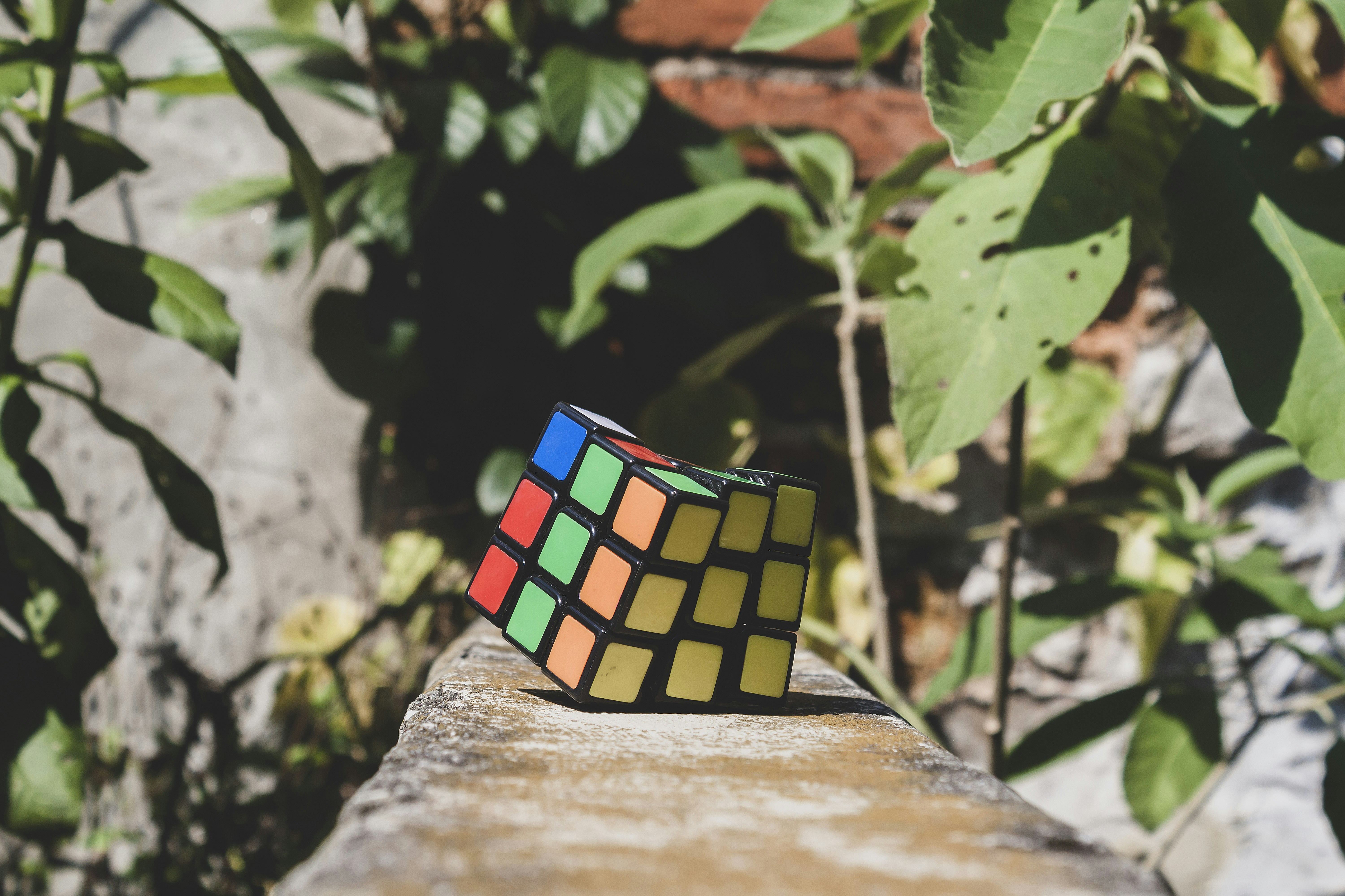 Photo by americanaez225