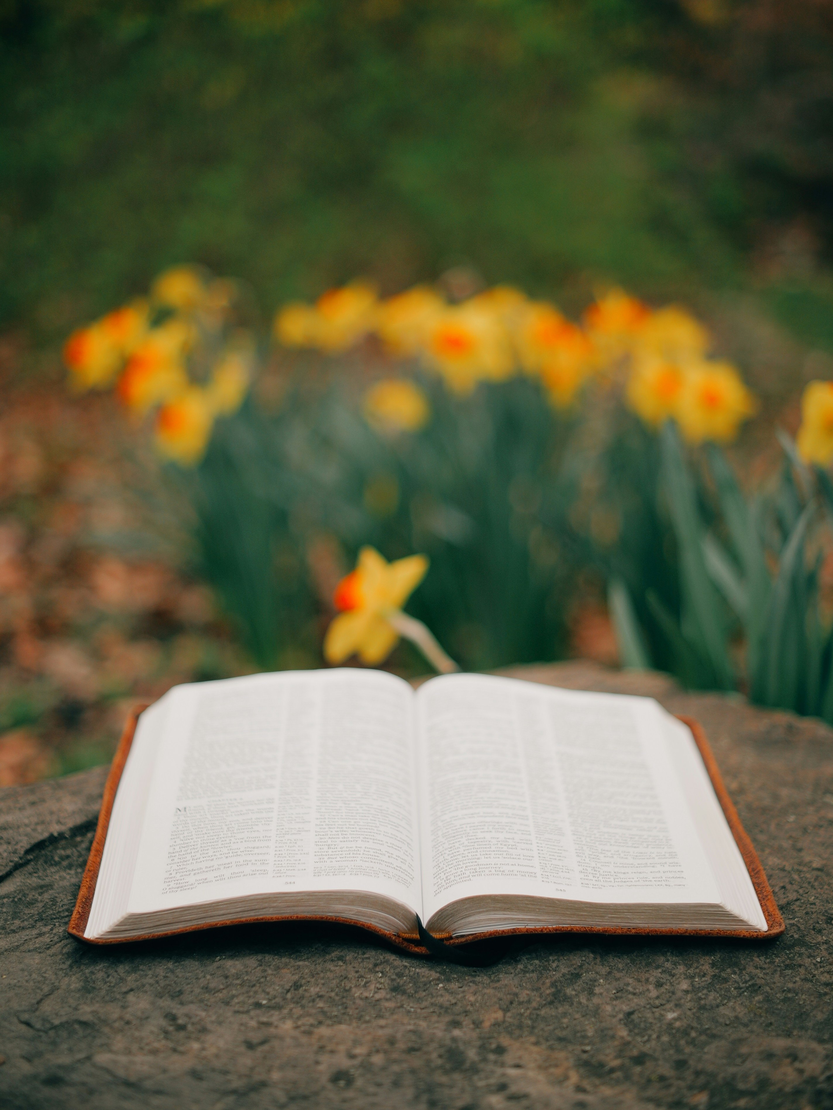 Photo by aaronburden