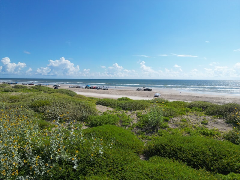 Mustang Island Beach Texas