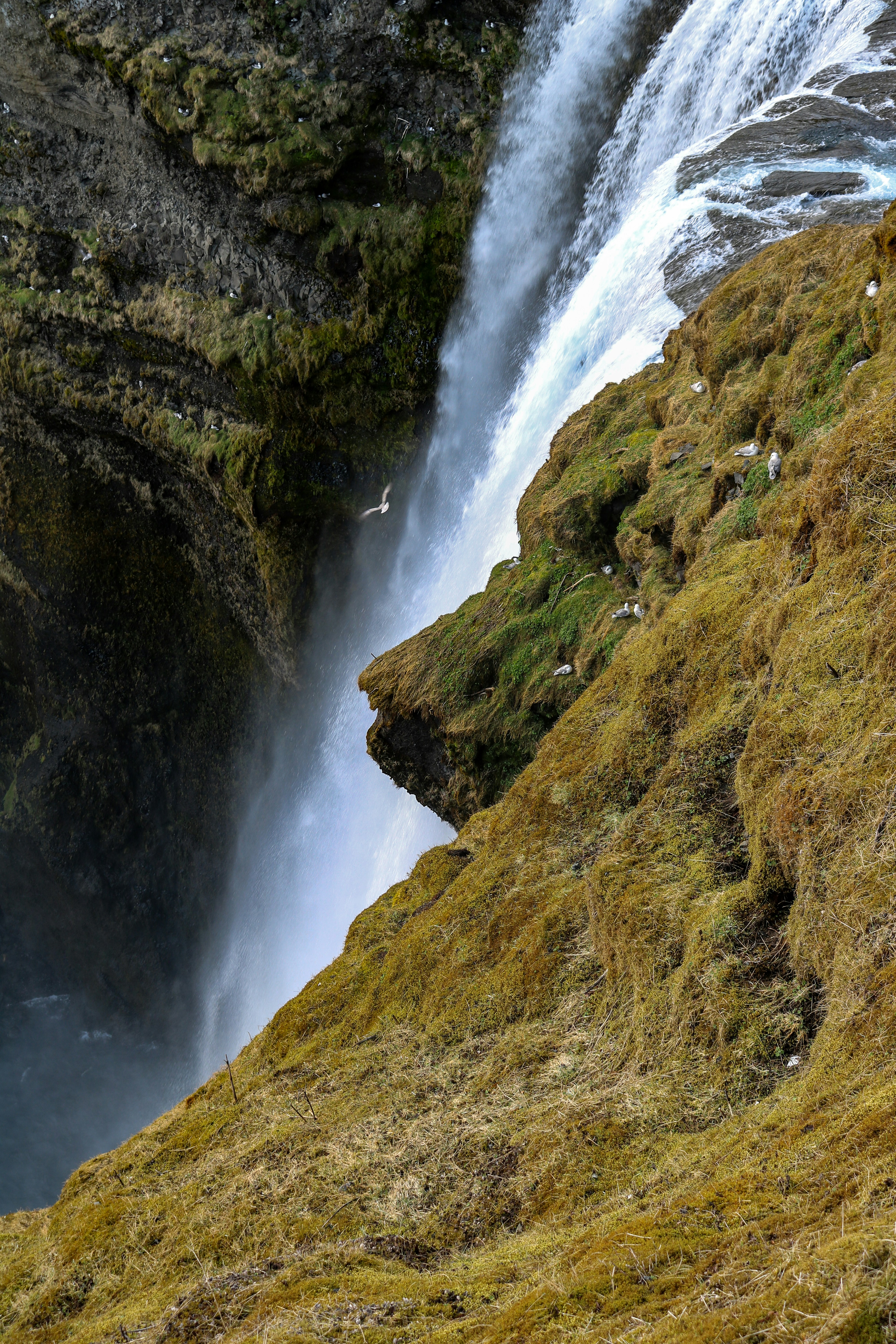 Photo by jonathanphelps