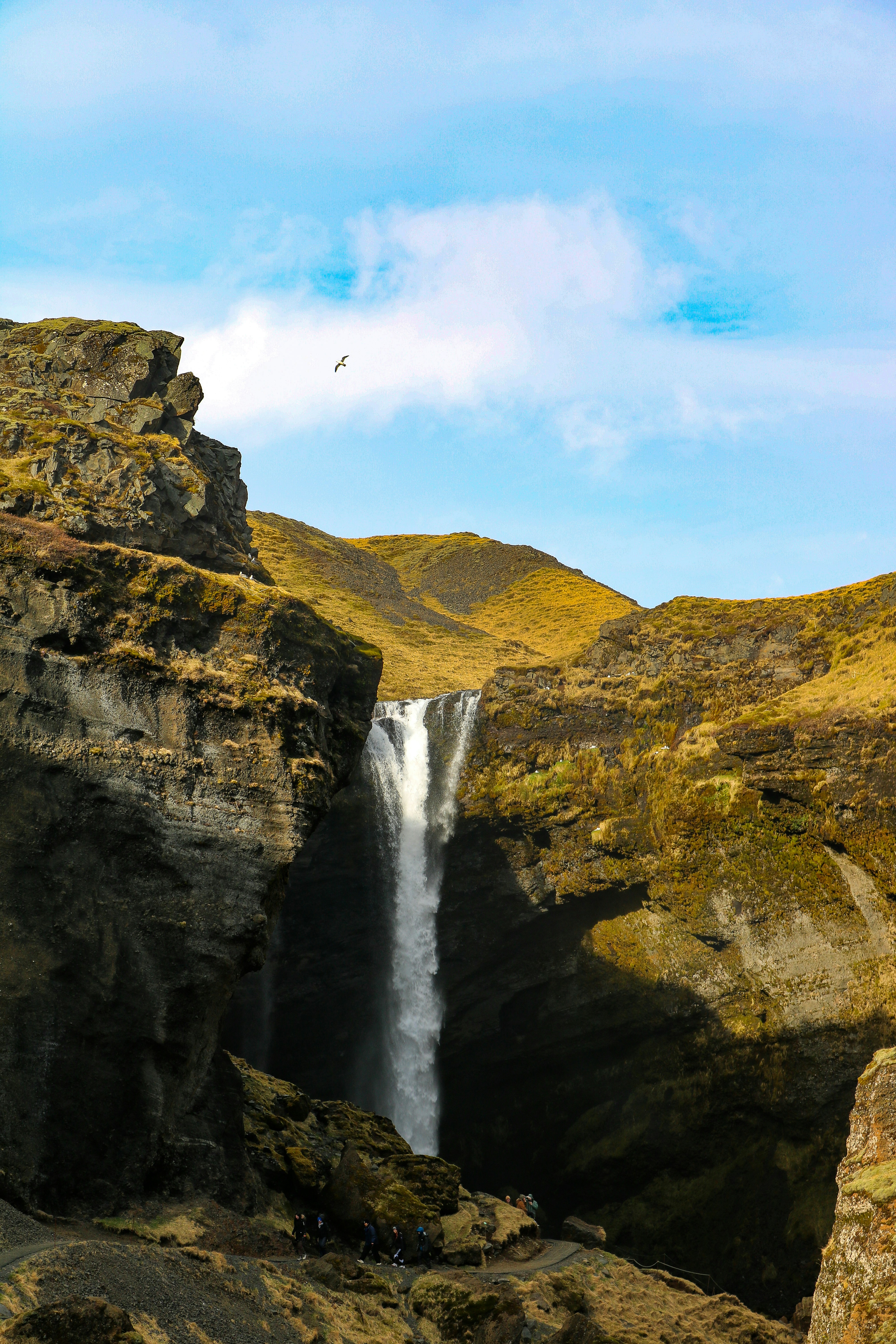 Photo by jonathanphelps