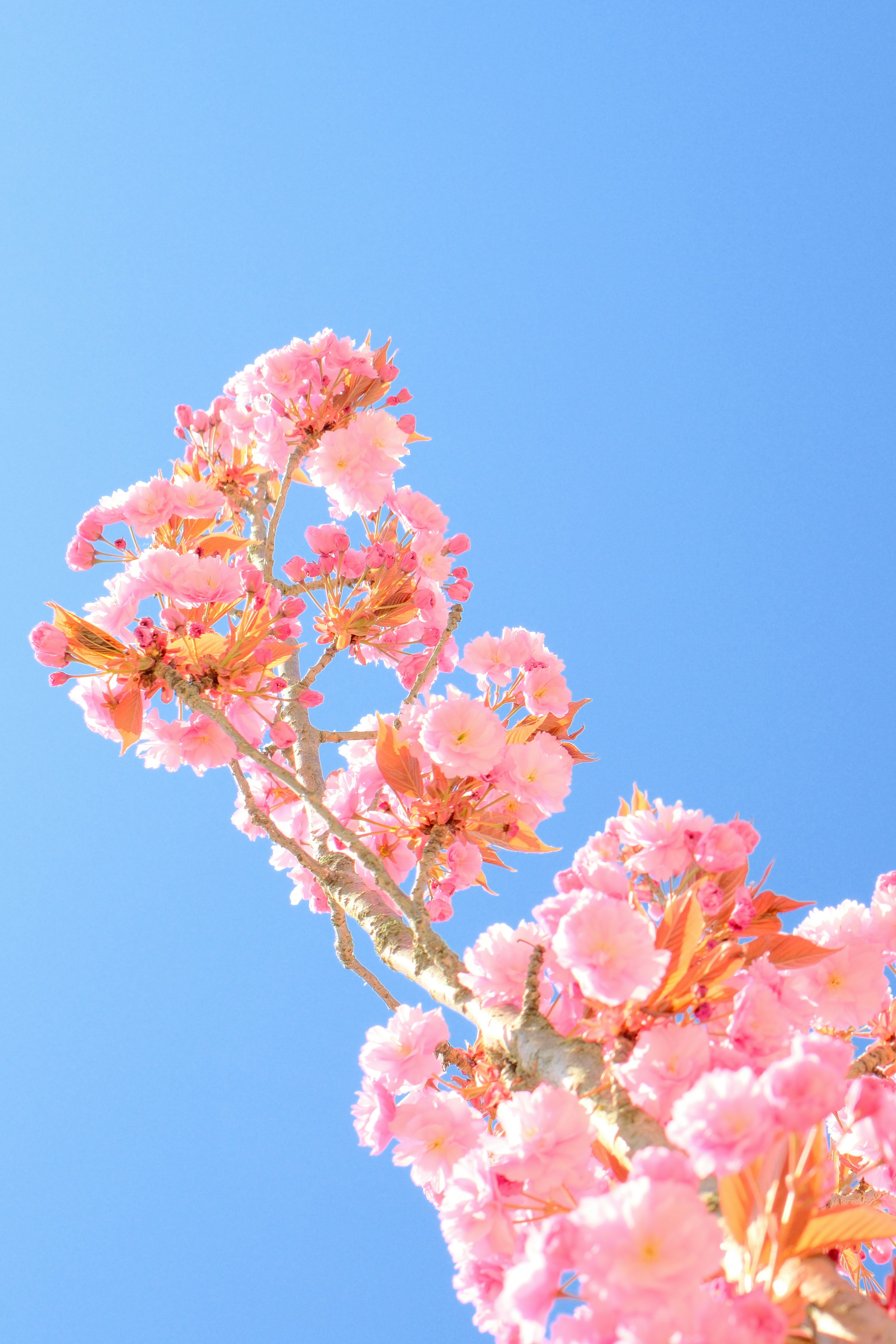 Photo by farnaz________