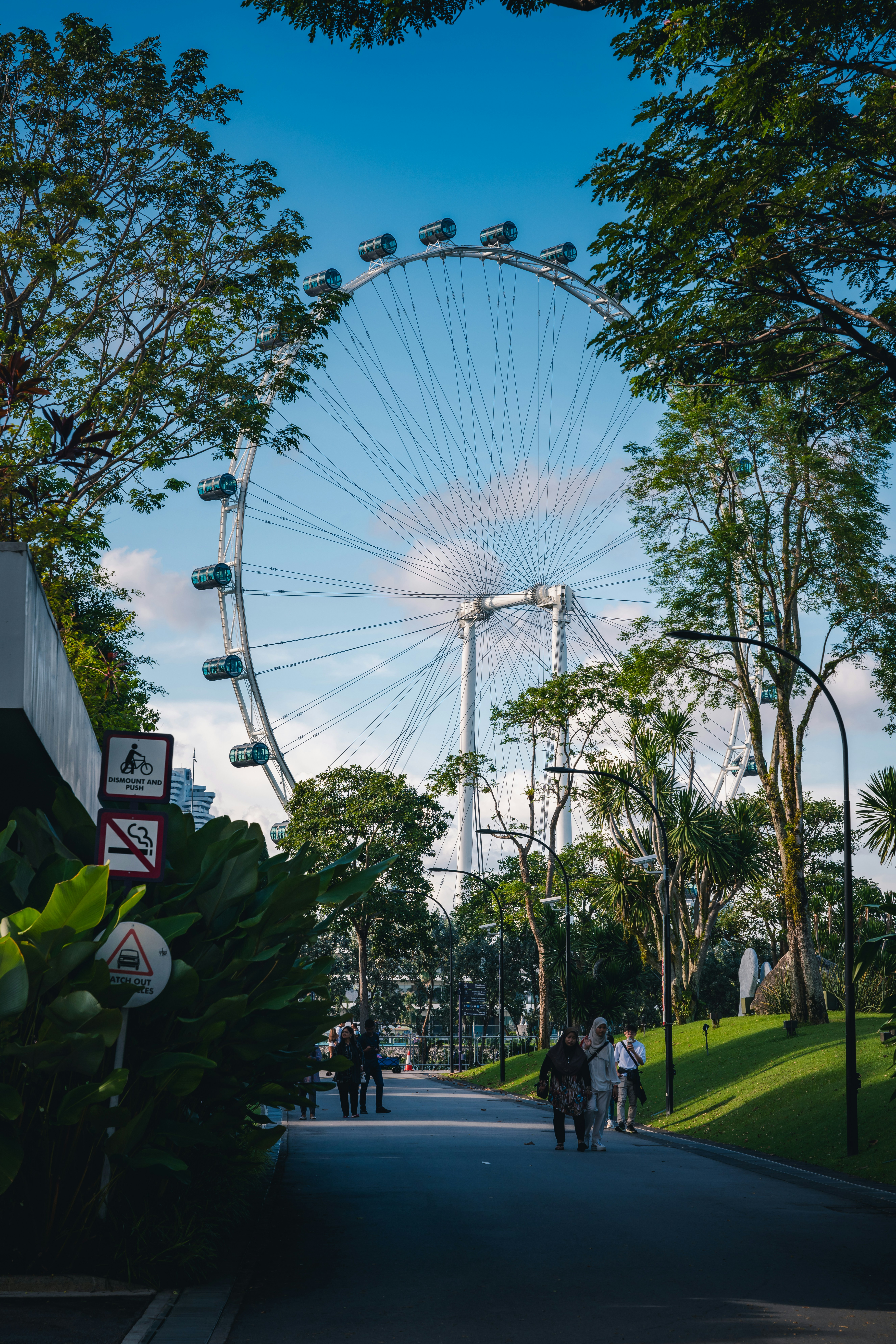 A ferris wheel framed by trees under a blue sky.