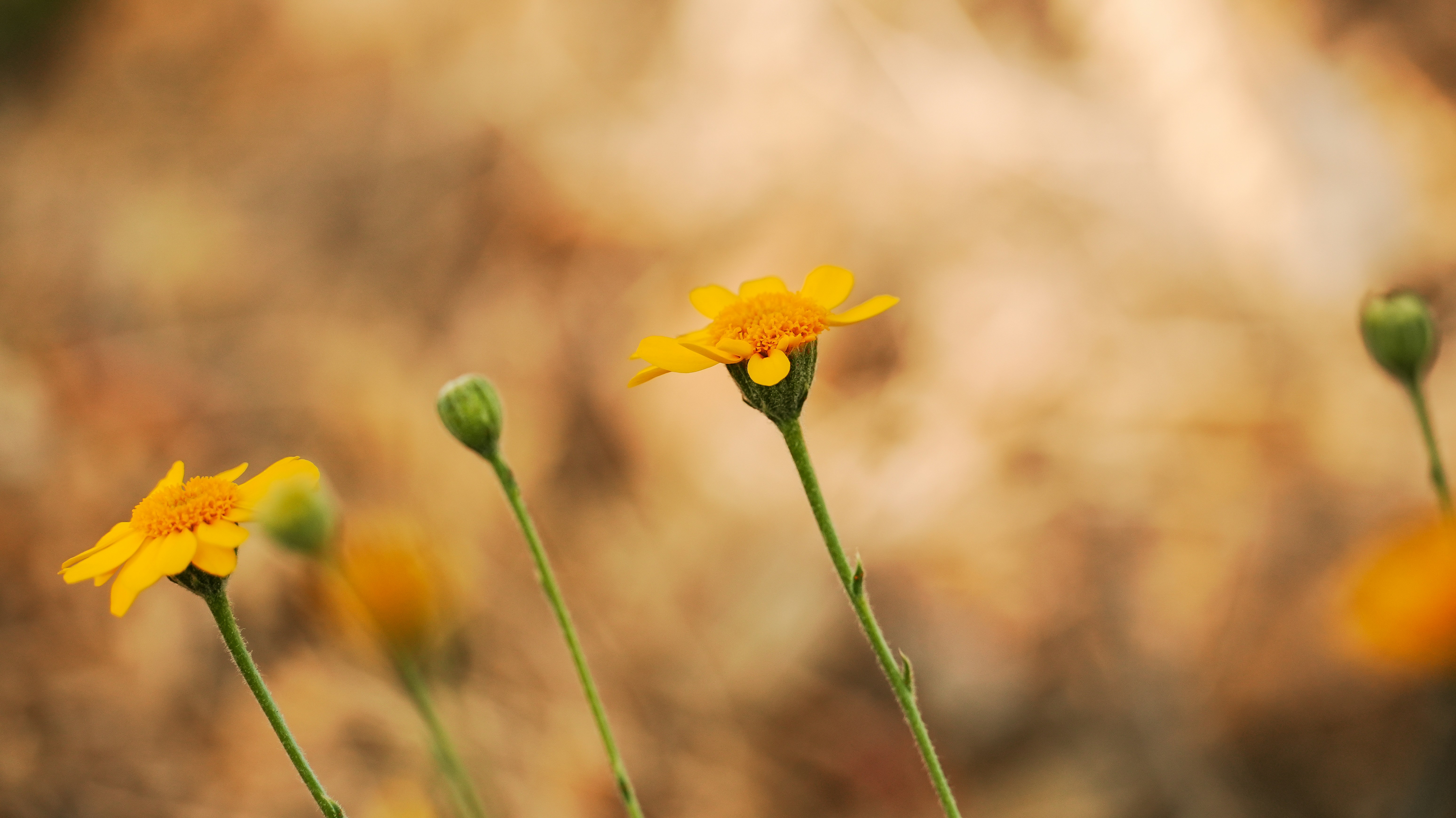 Photo by jcnonstop87