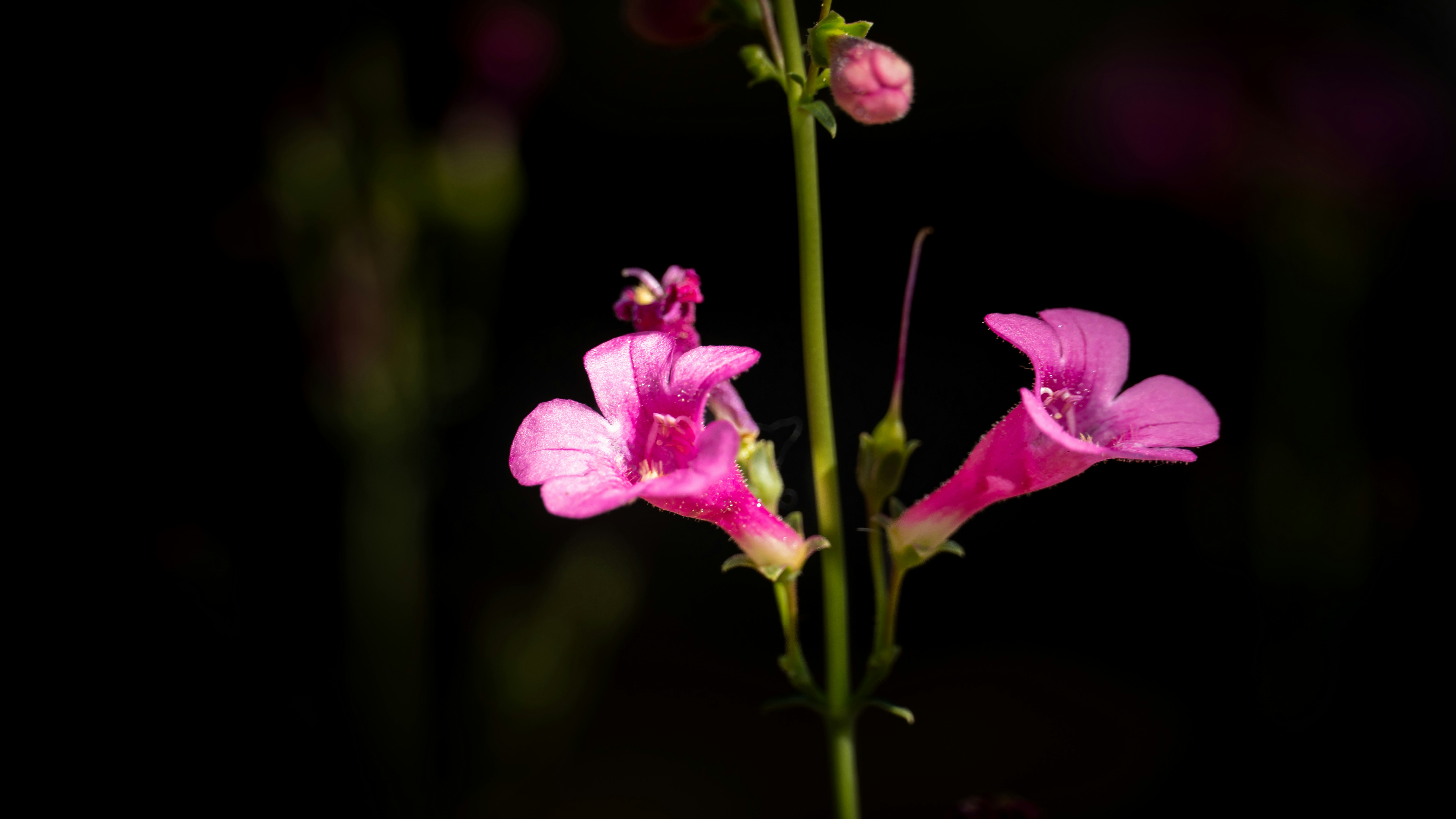 Photo by jcnonstop87