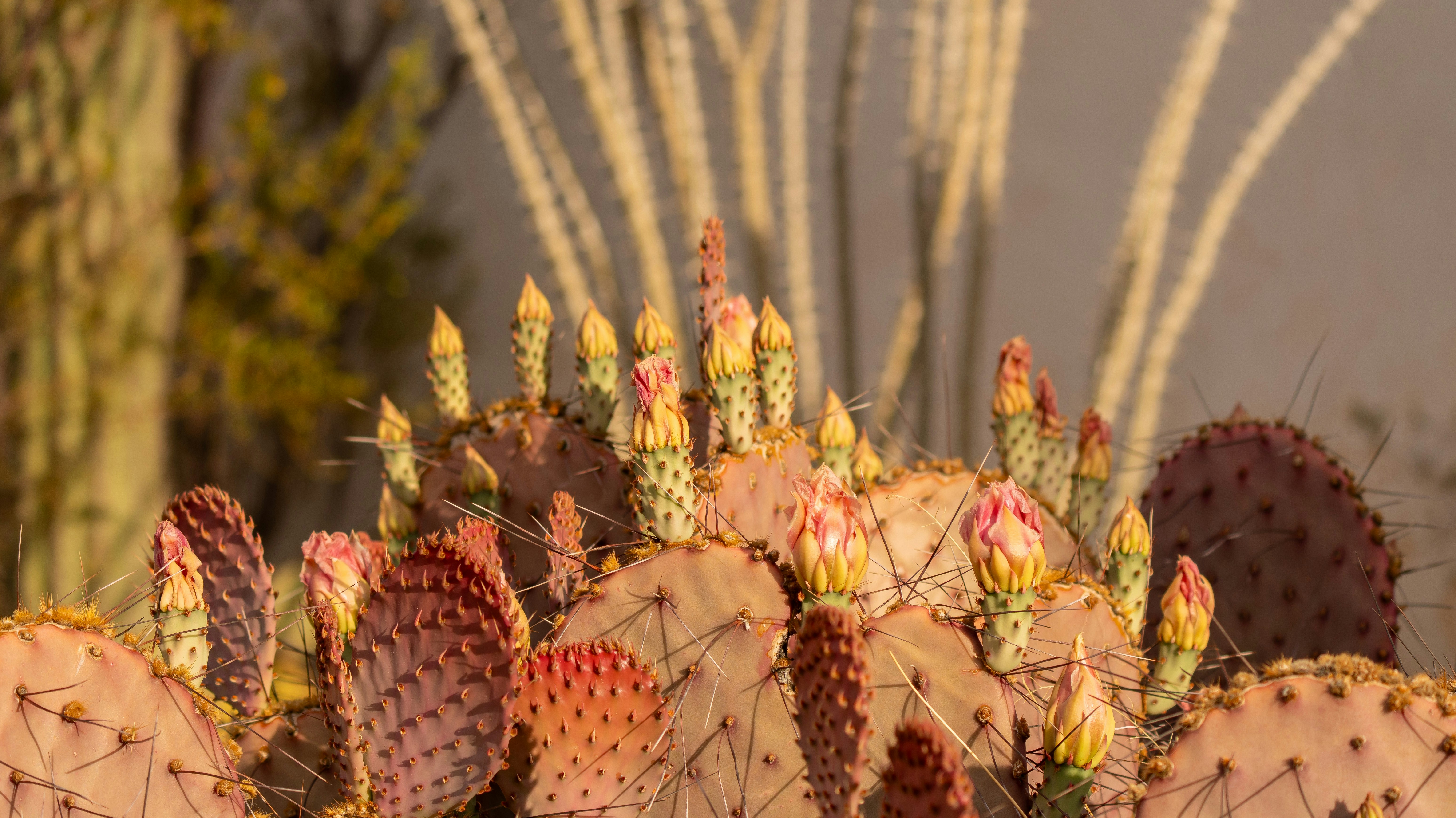 Photo by jcnonstop87