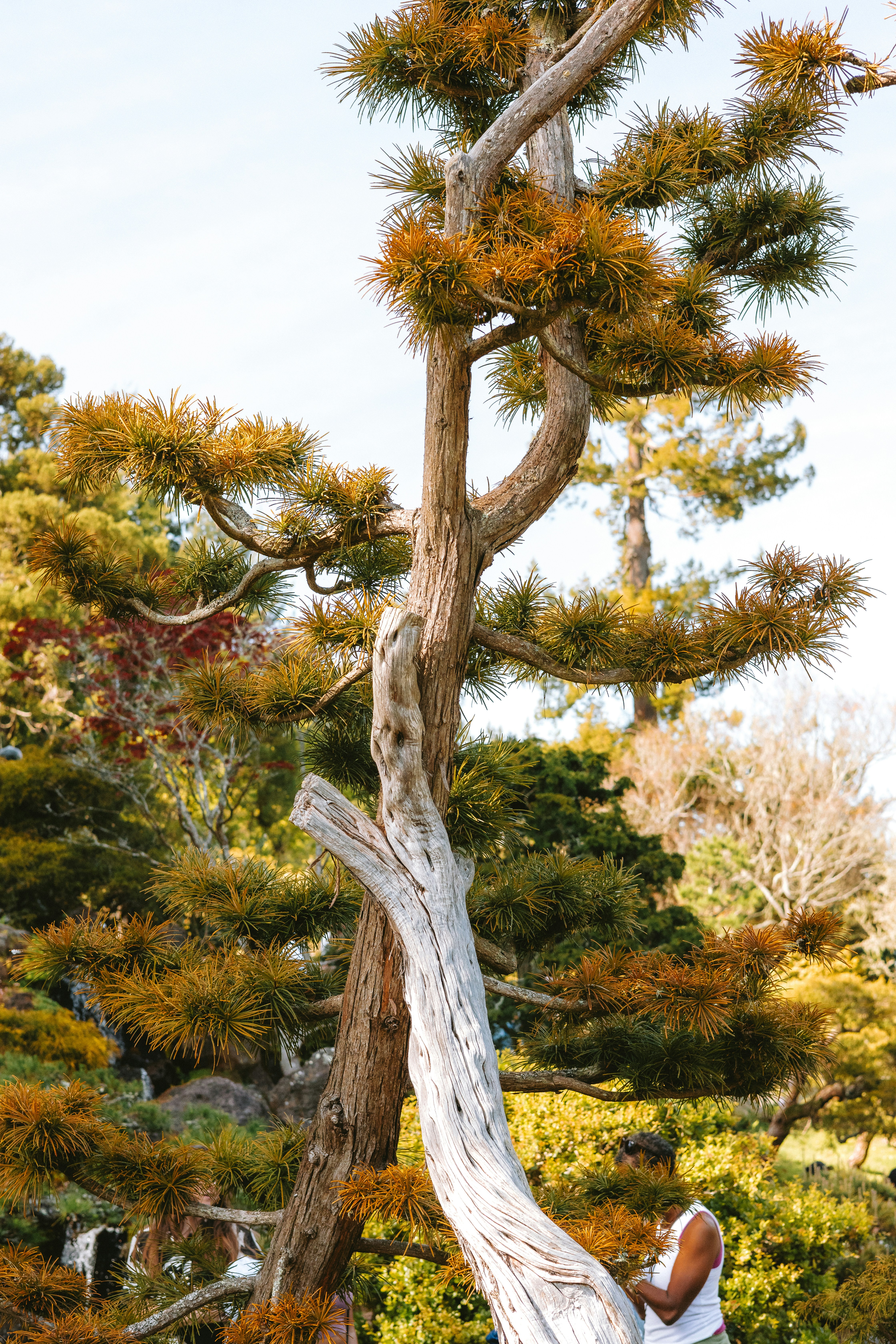 Photo by anniespratt