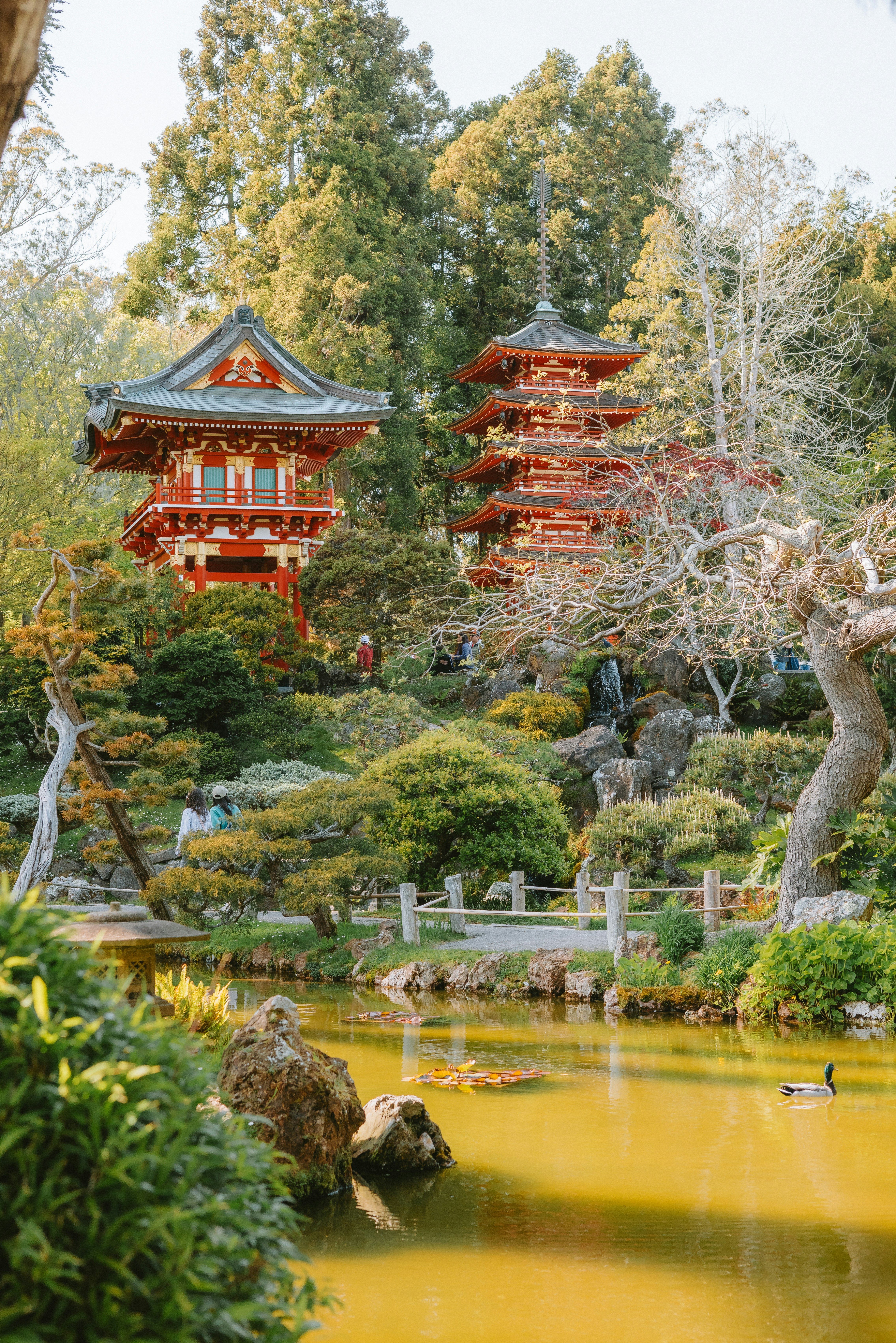 Photo by anniespratt