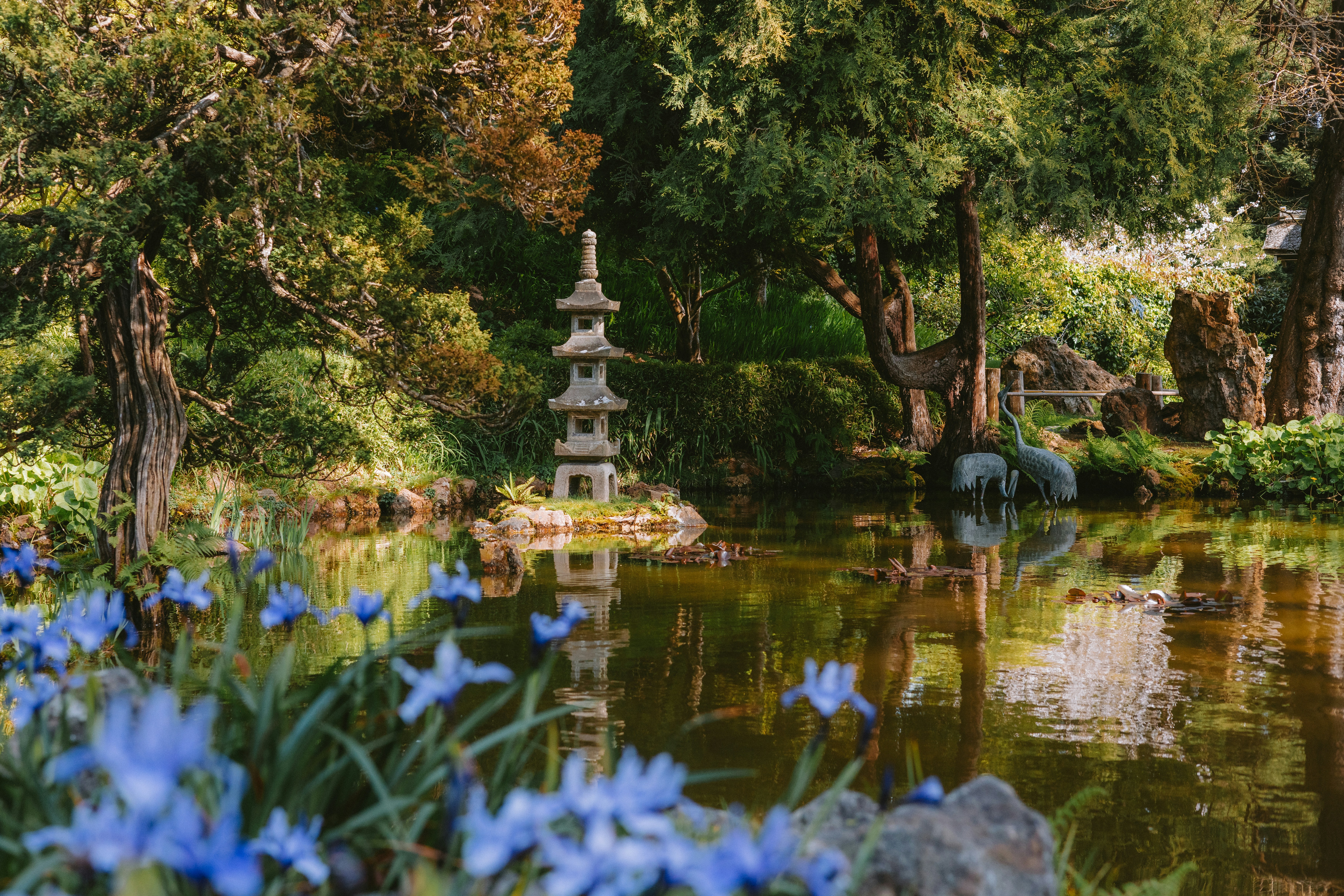 Photo by anniespratt