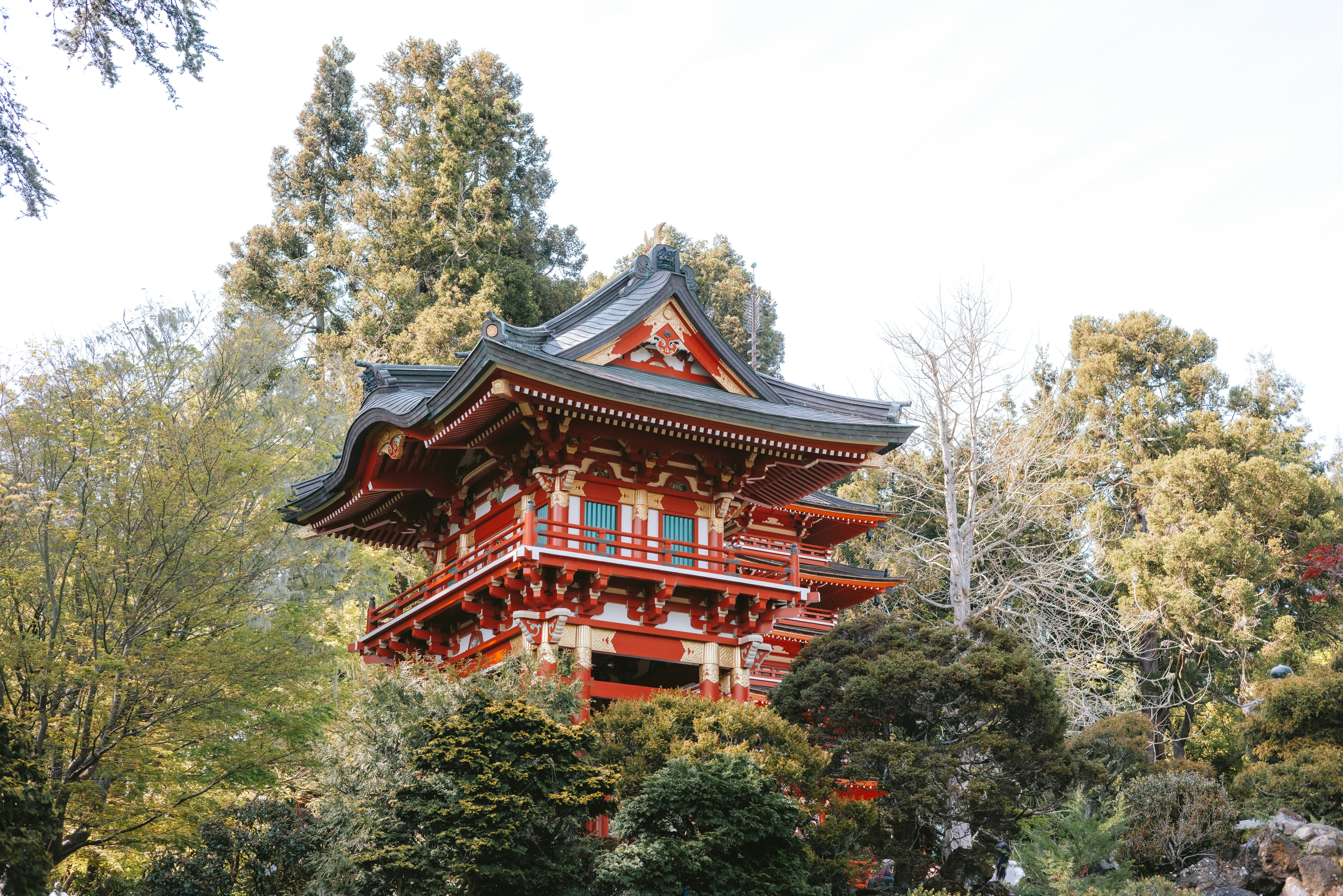 Photo by anniespratt