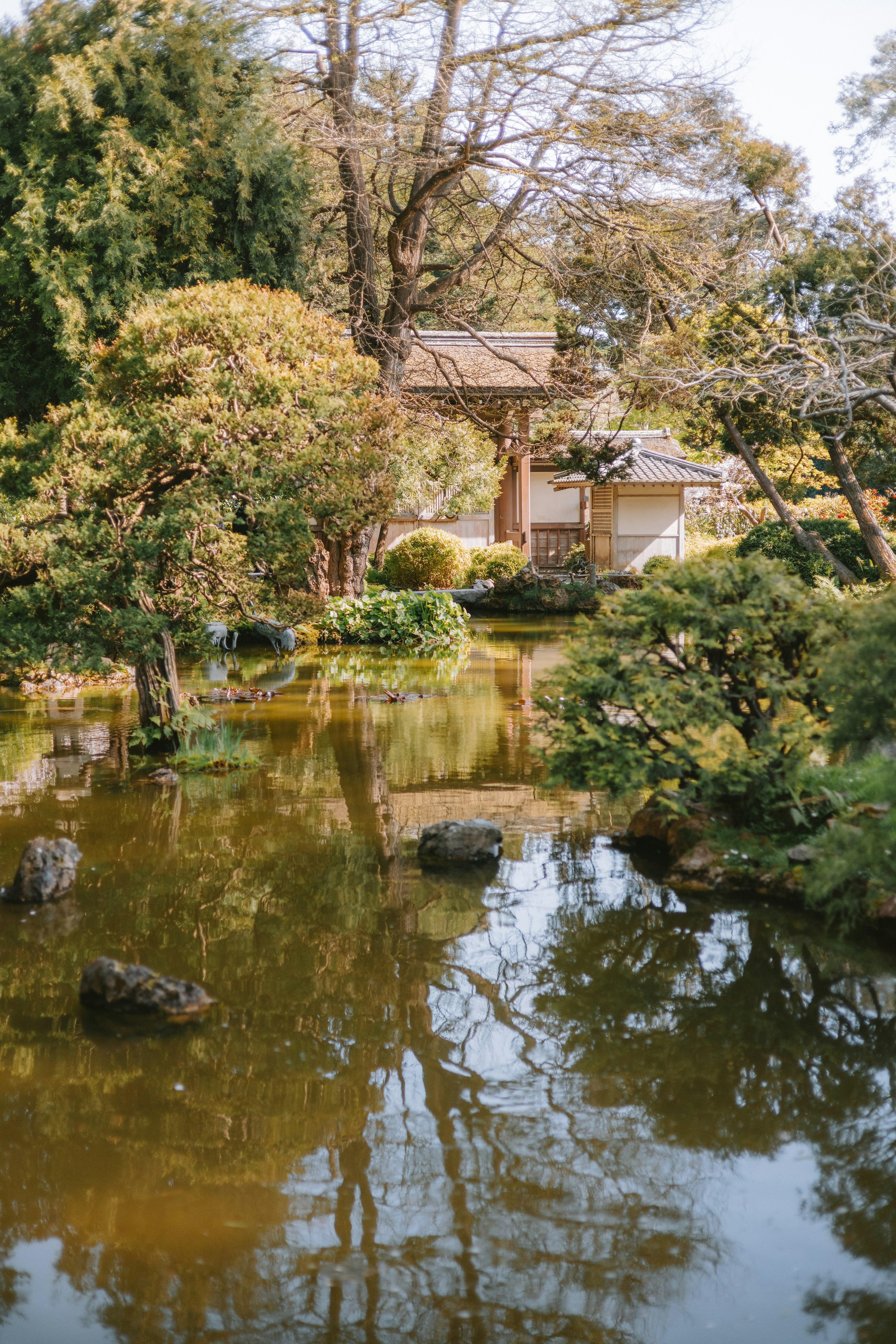 Photo by anniespratt