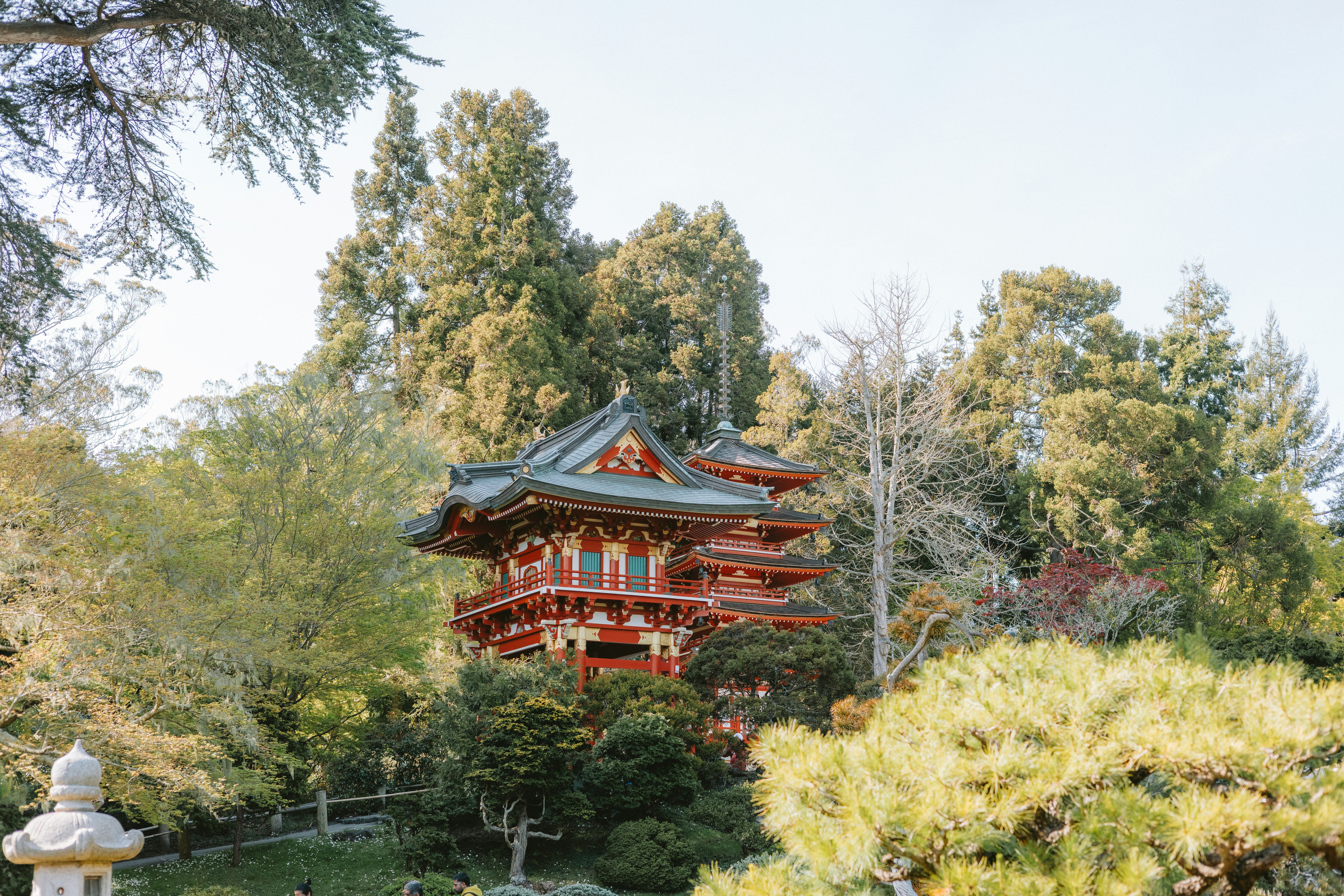 Photo by anniespratt