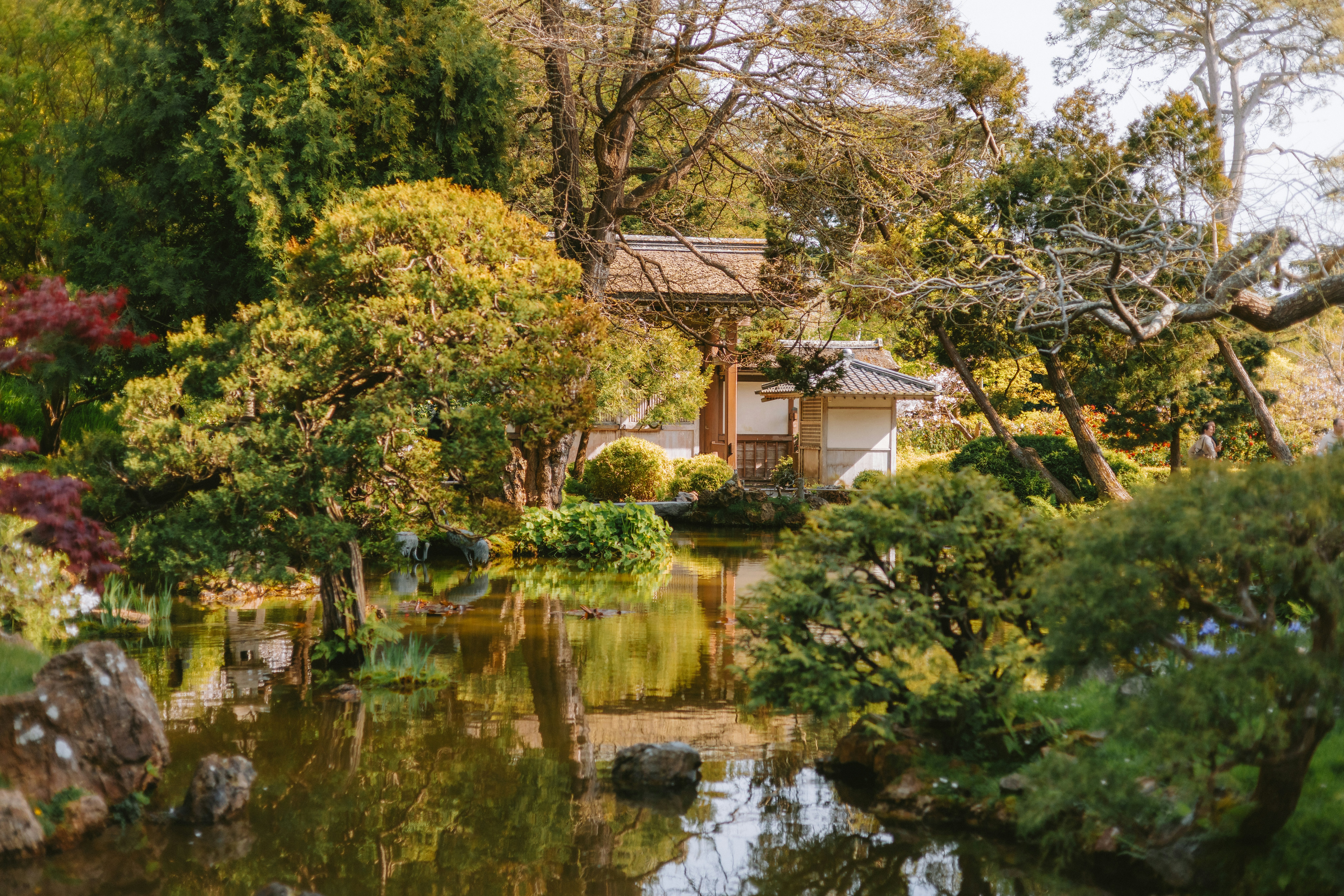 Photo by anniespratt