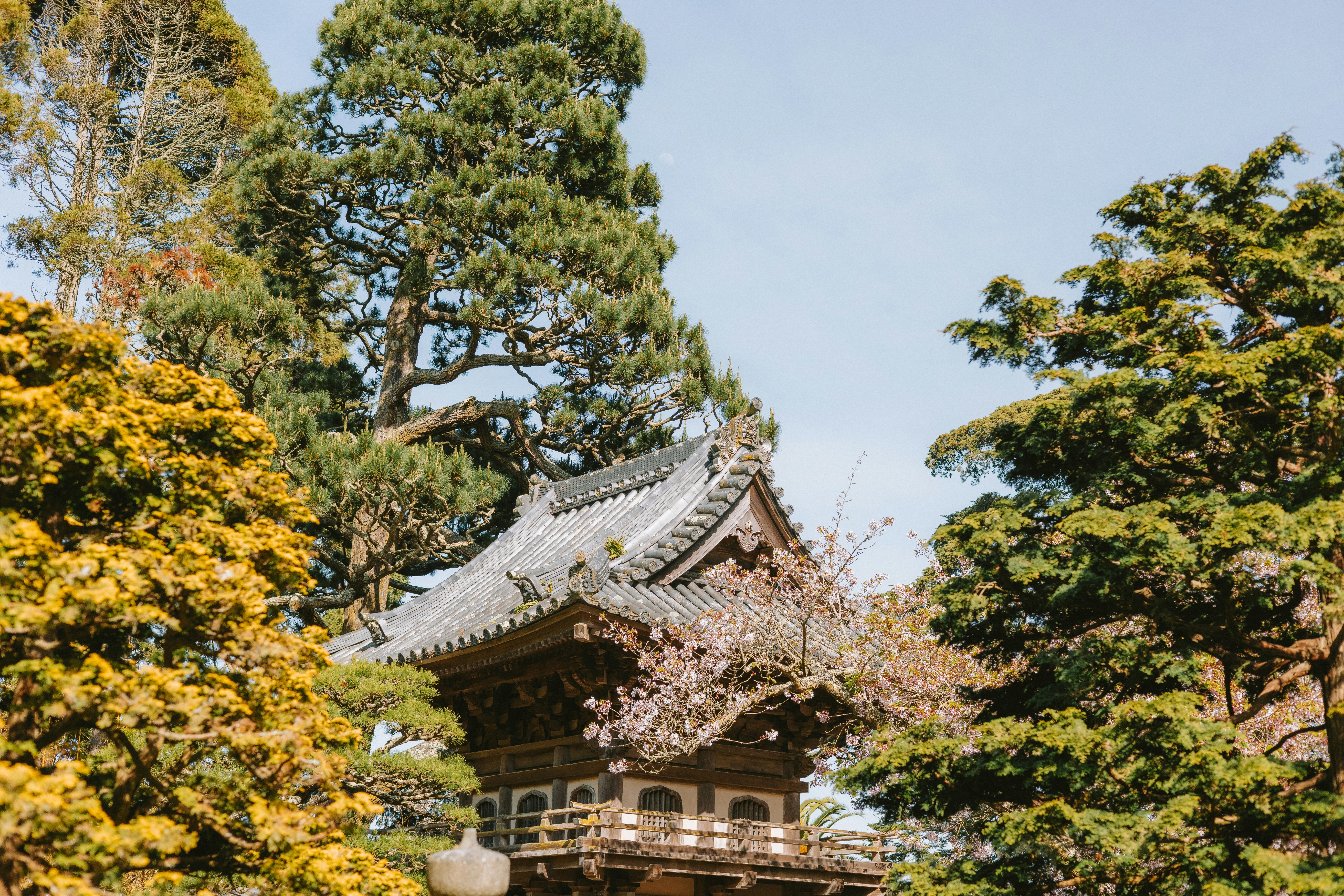 Photo by anniespratt