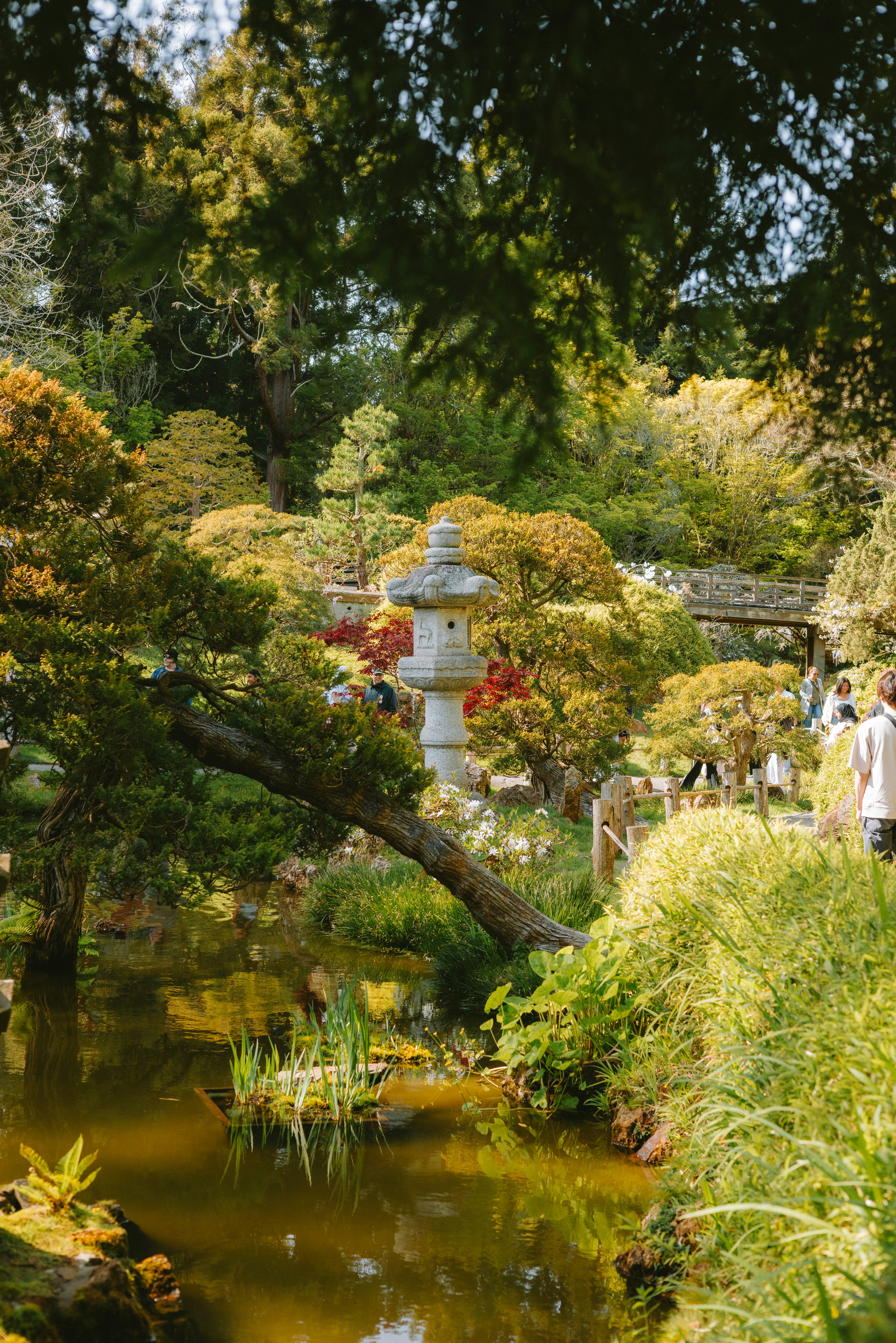 Photo by anniespratt