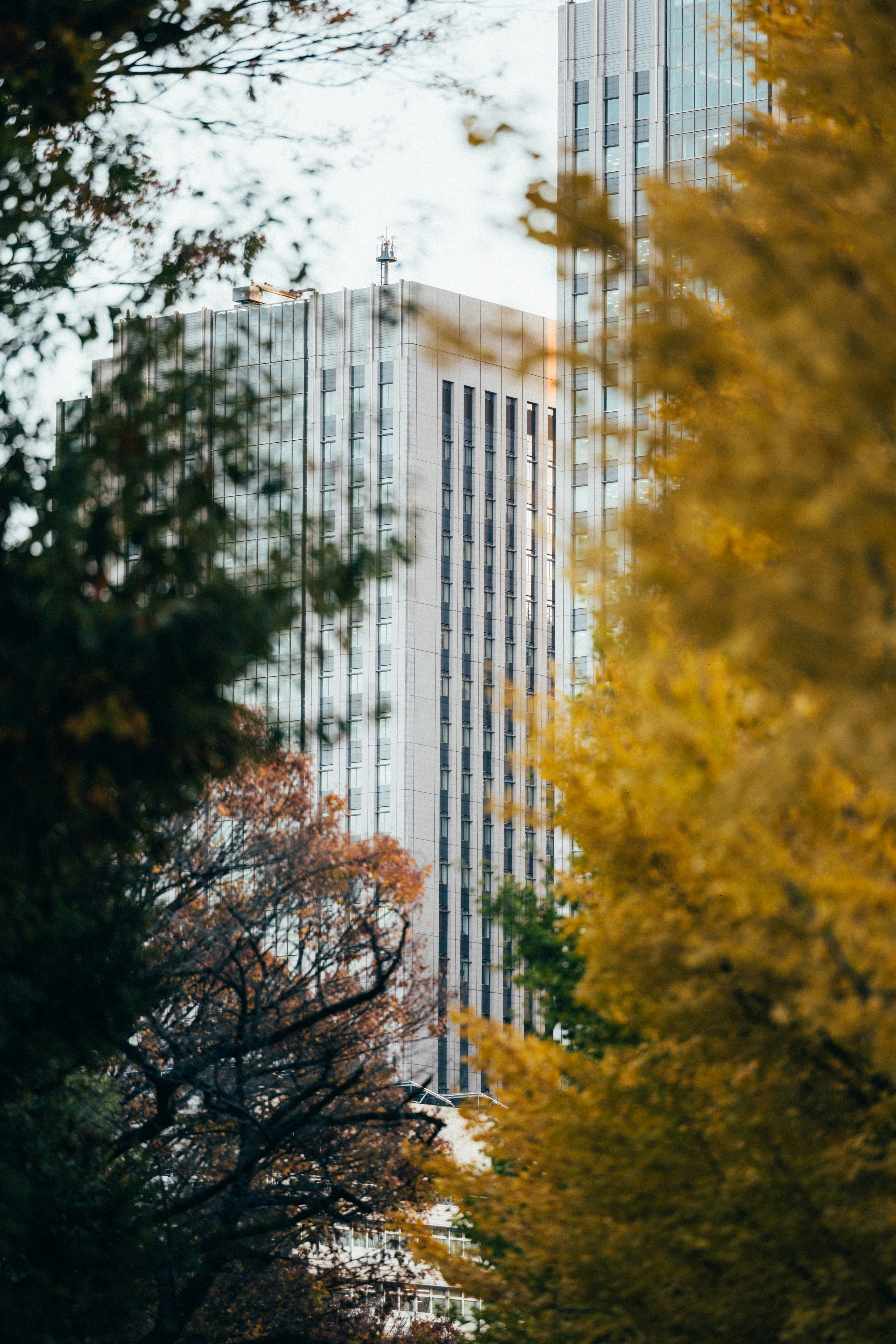 Photo by tsuyoshikozu