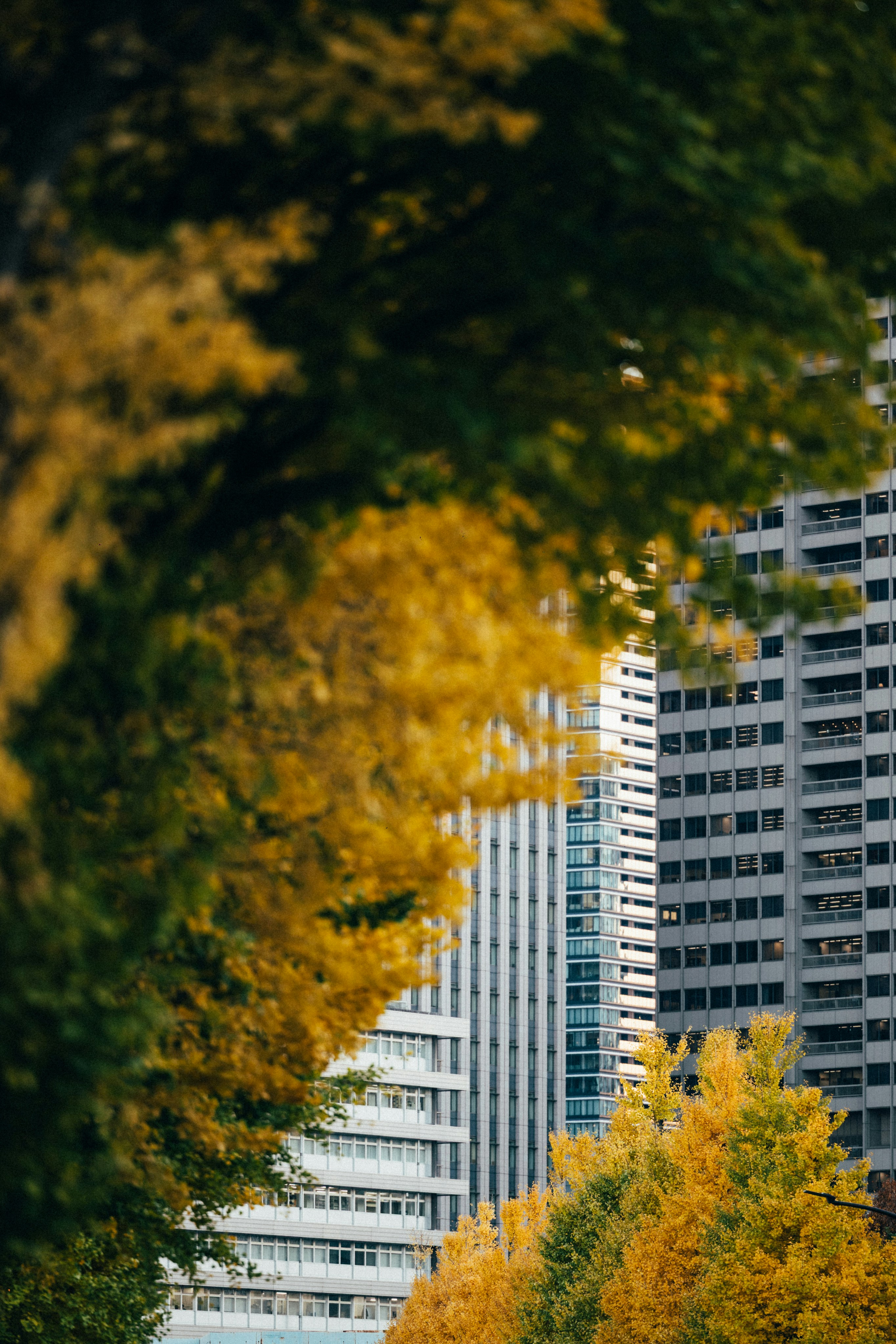 Photo by tsuyoshikozu