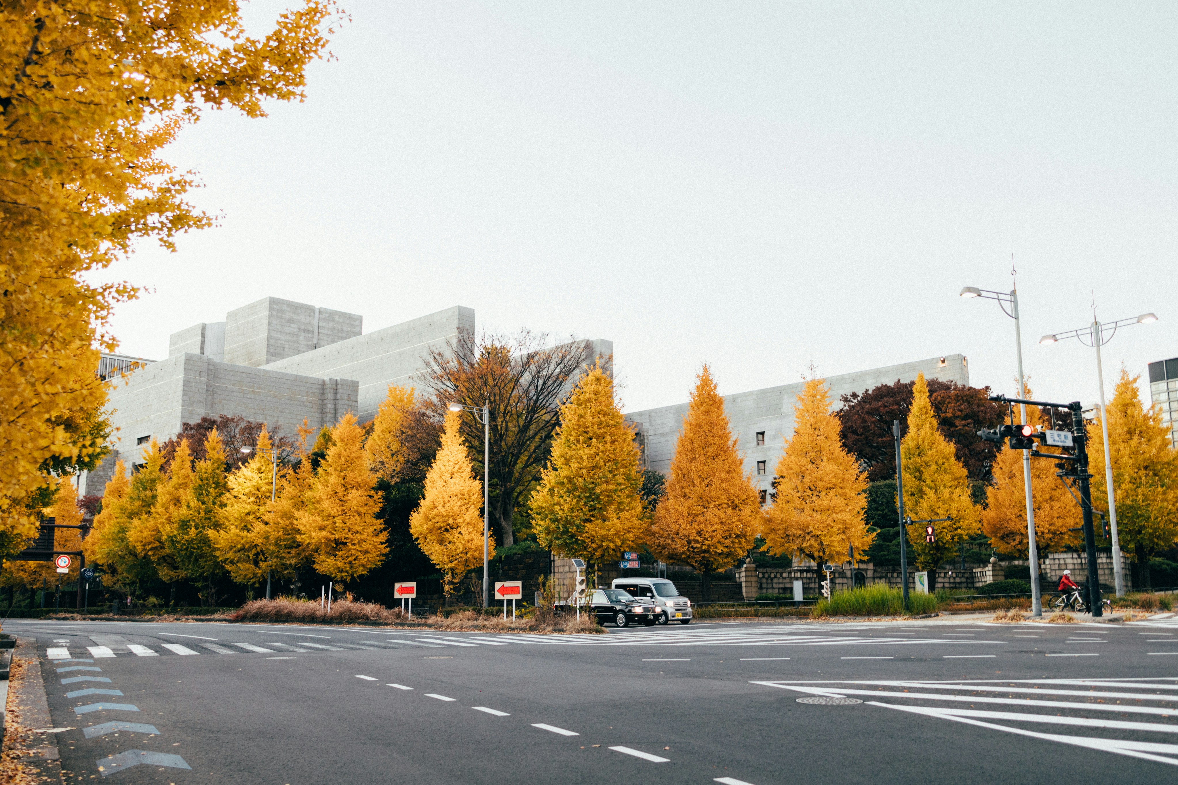 Photo by tsuyoshikozu