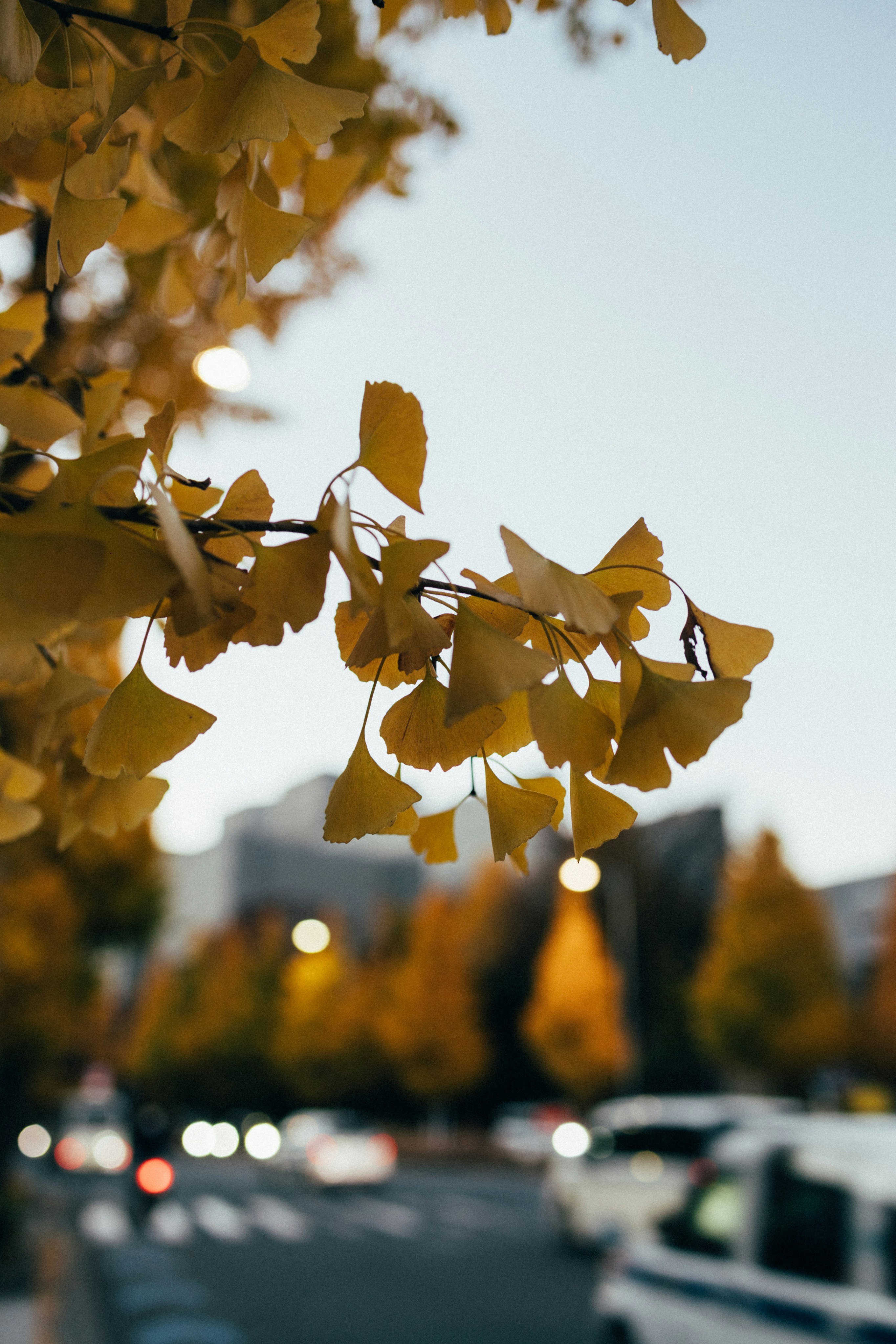 Photo by tsuyoshikozu