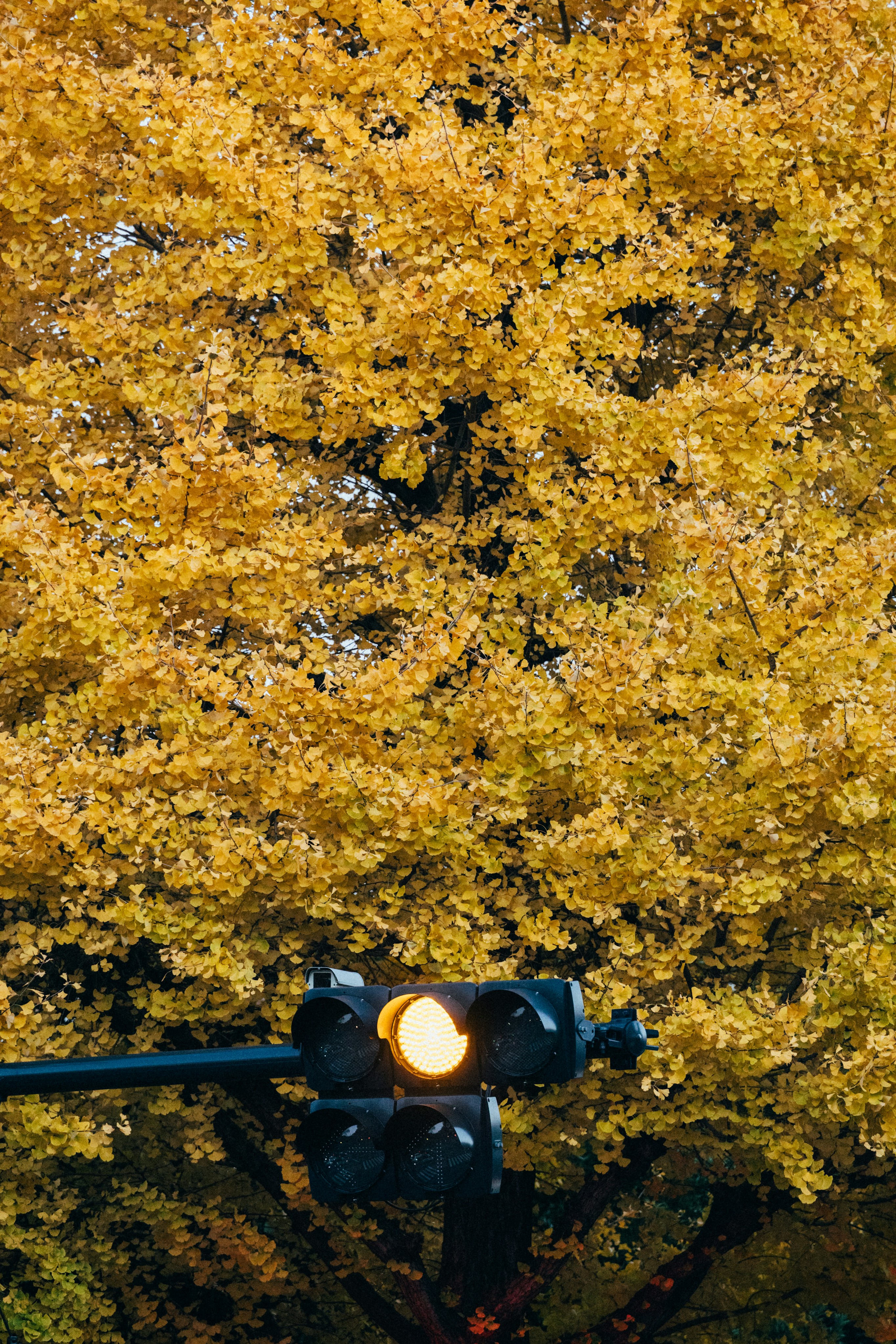 Photo by tsuyoshikozu