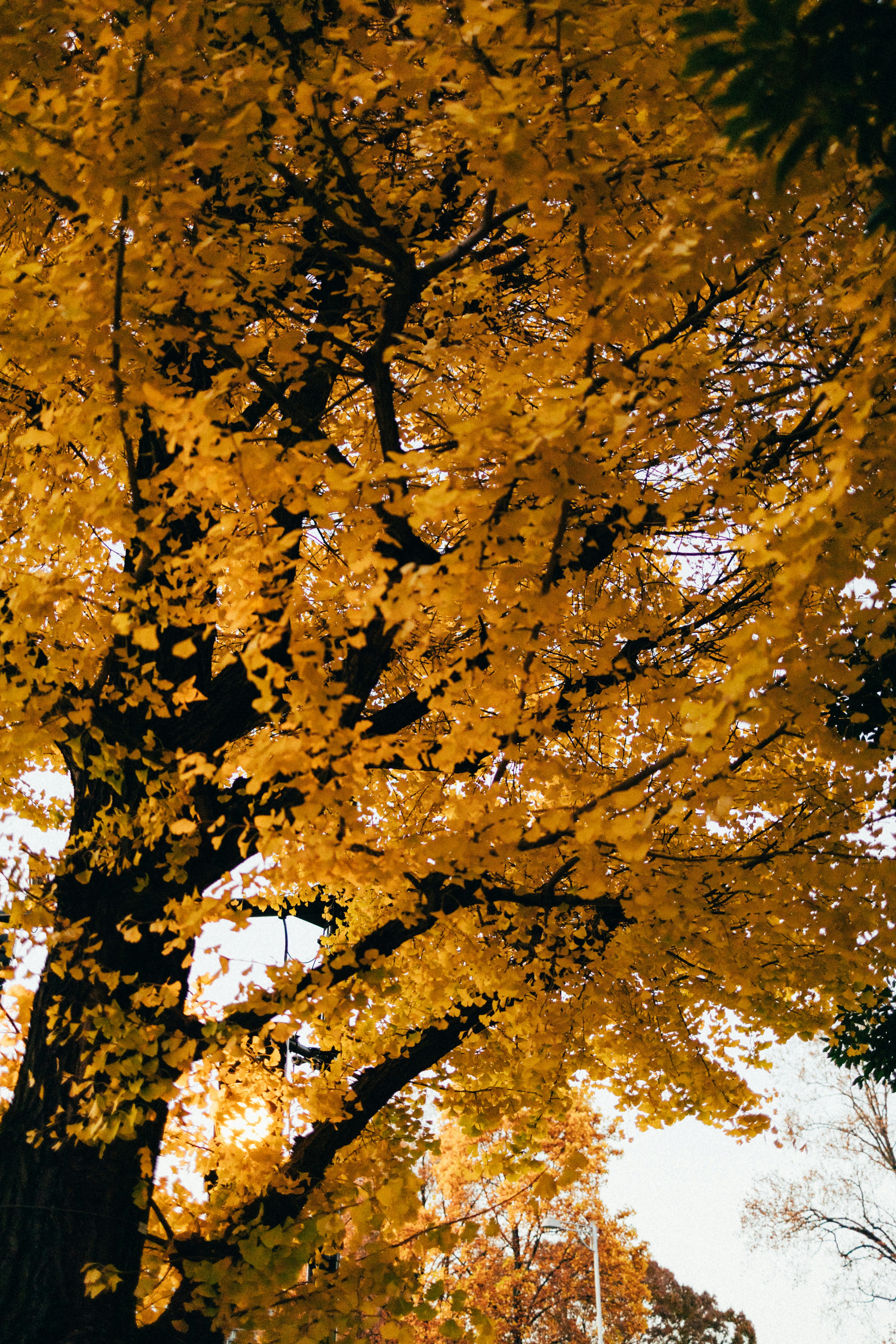 Photo by tsuyoshikozu