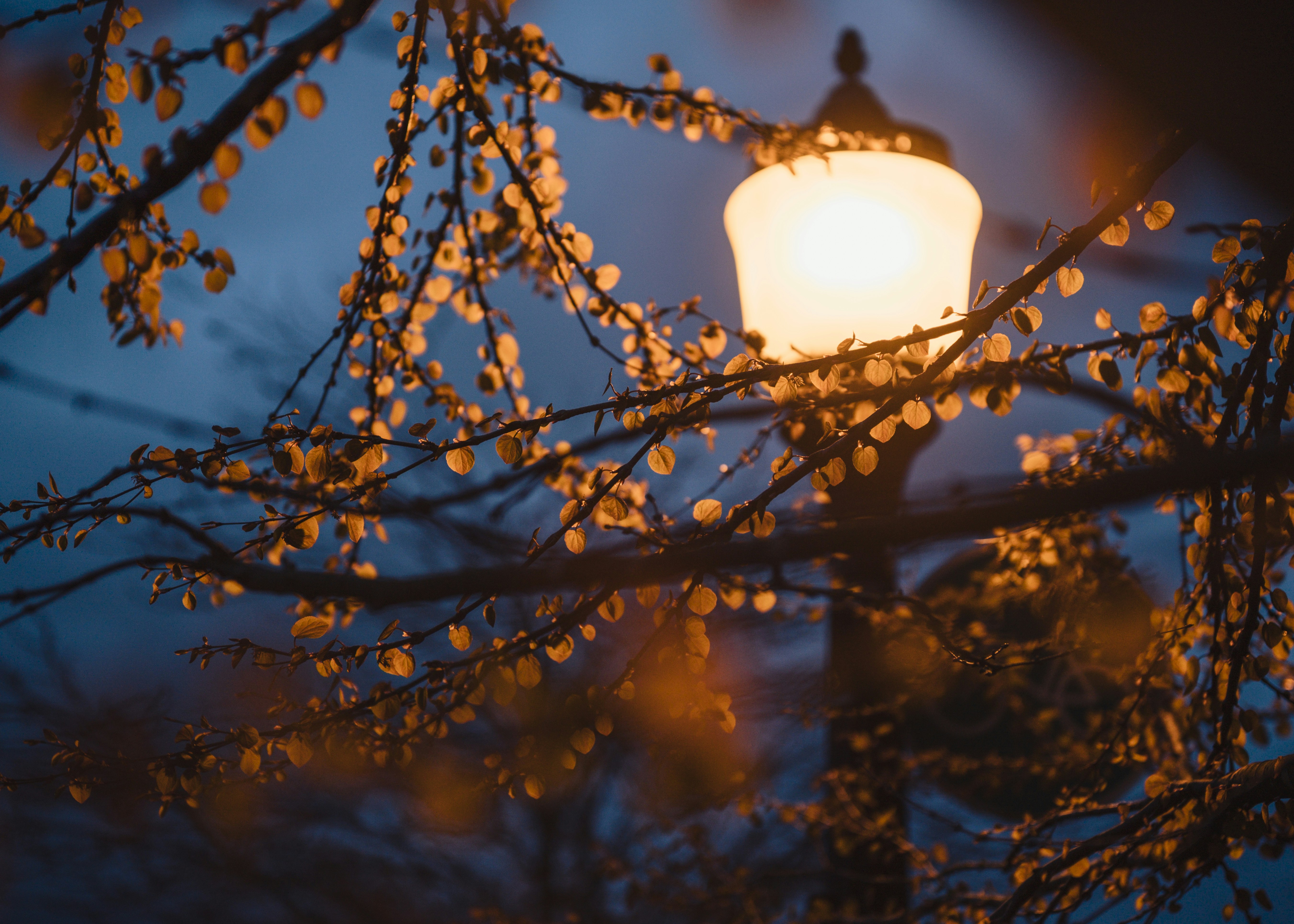 Photo by albertstoynov