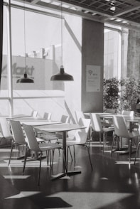 A modern cafe interior is bathed in sunlight.