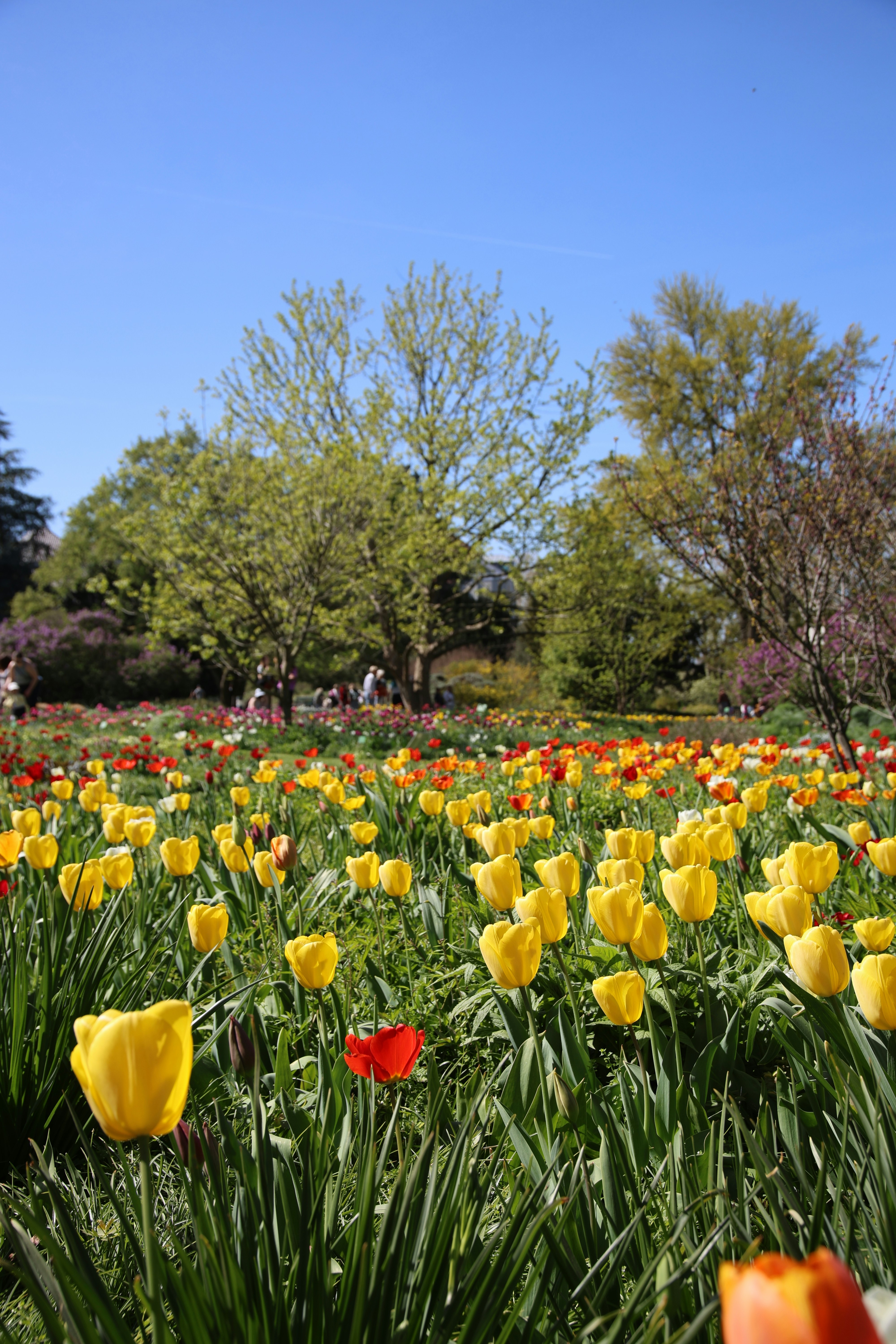 Photo by santosh_ghimire2021