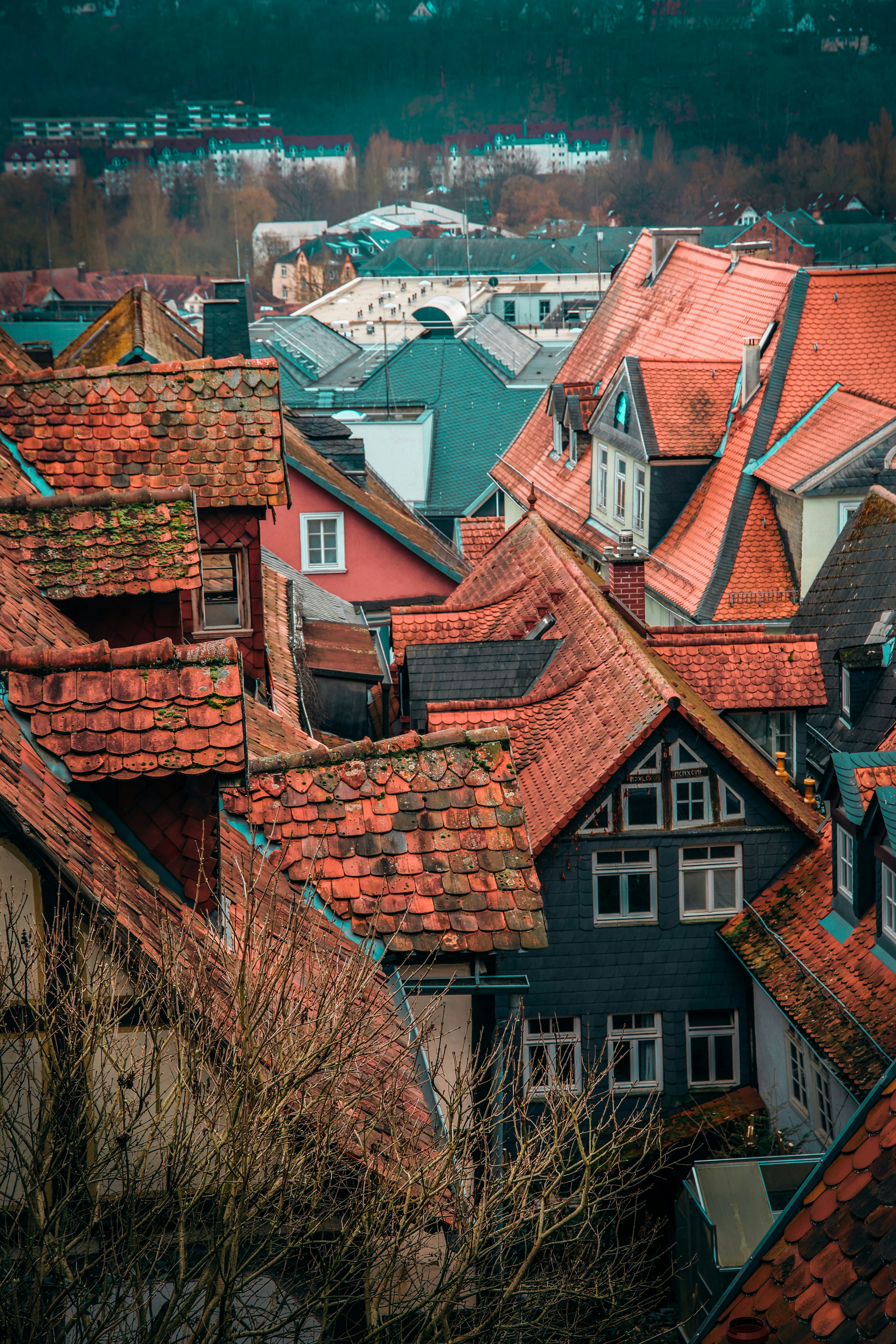 Photo by santosh_ghimire2021