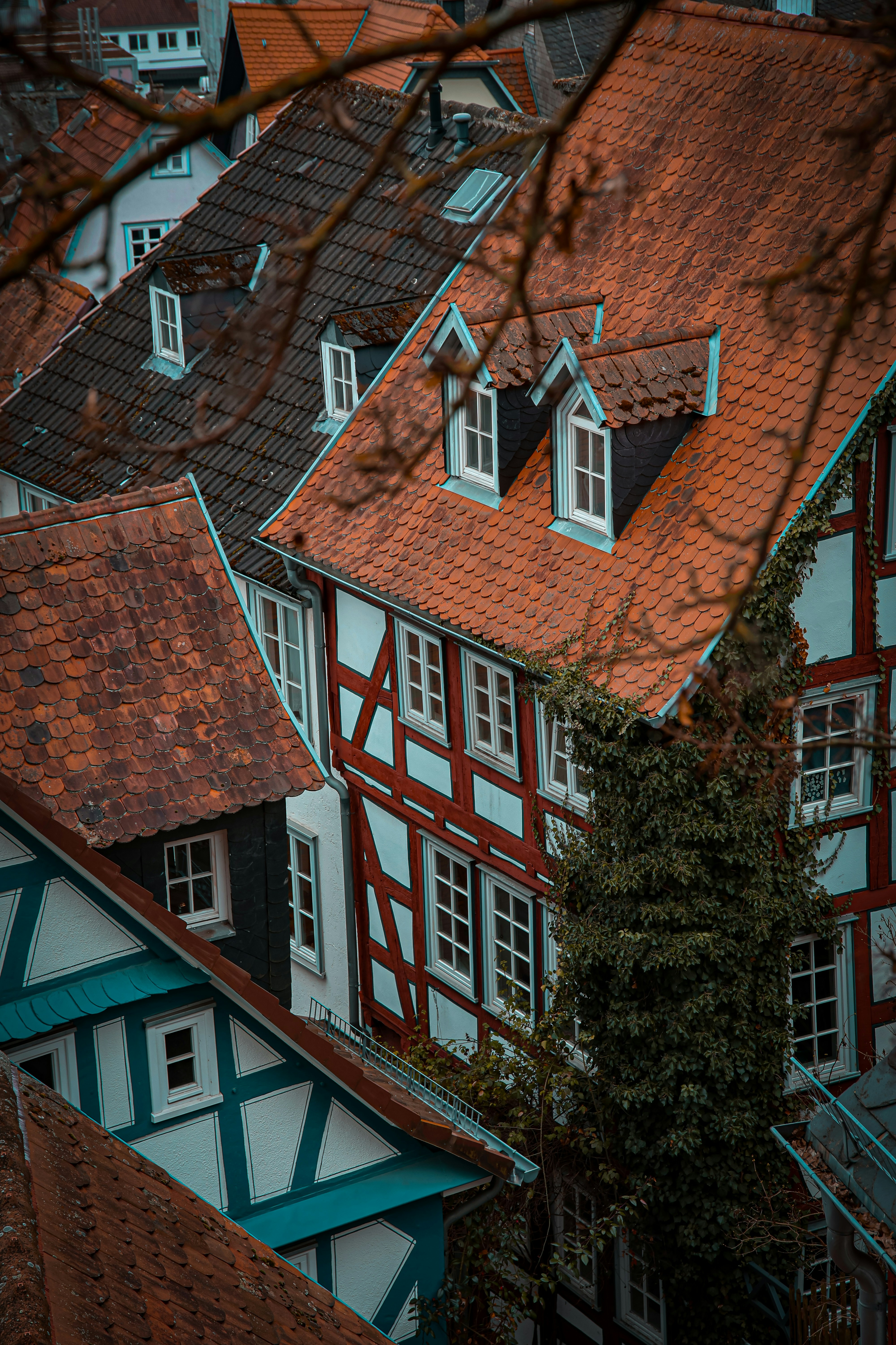 Photo by santosh_ghimire2021