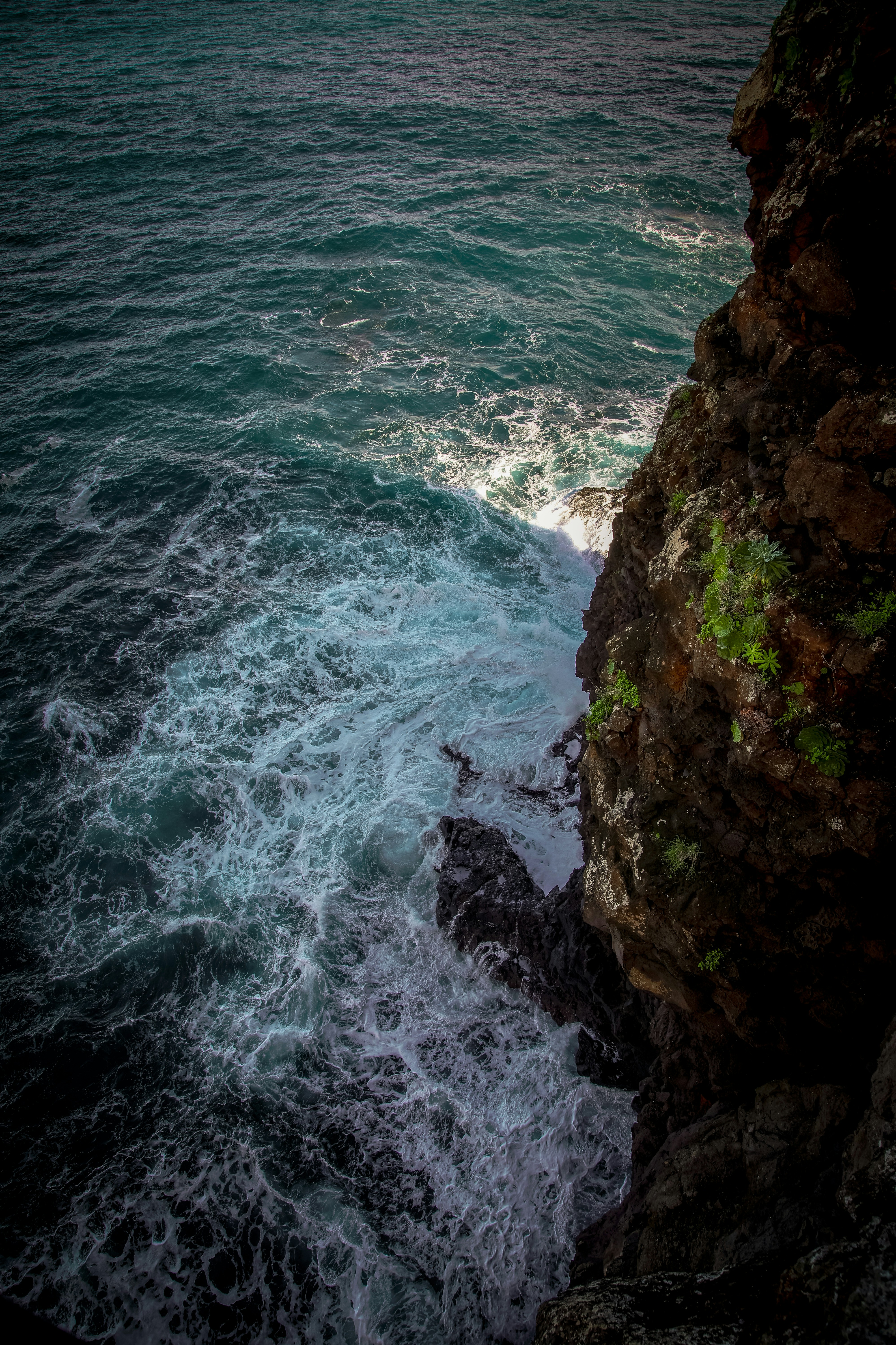 Photo by santosh_ghimire2021