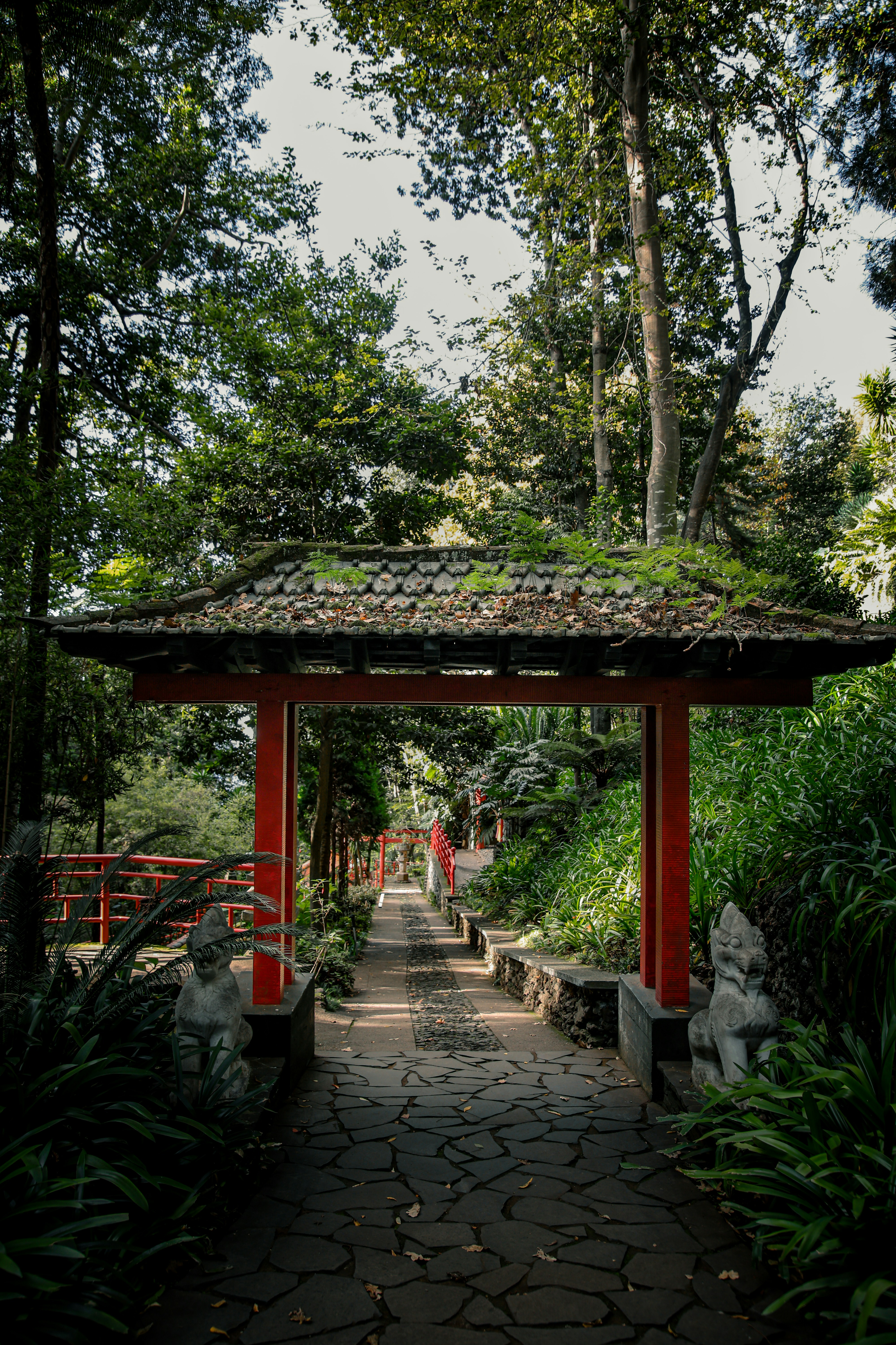 A red gate leads to a pathway in the forest.