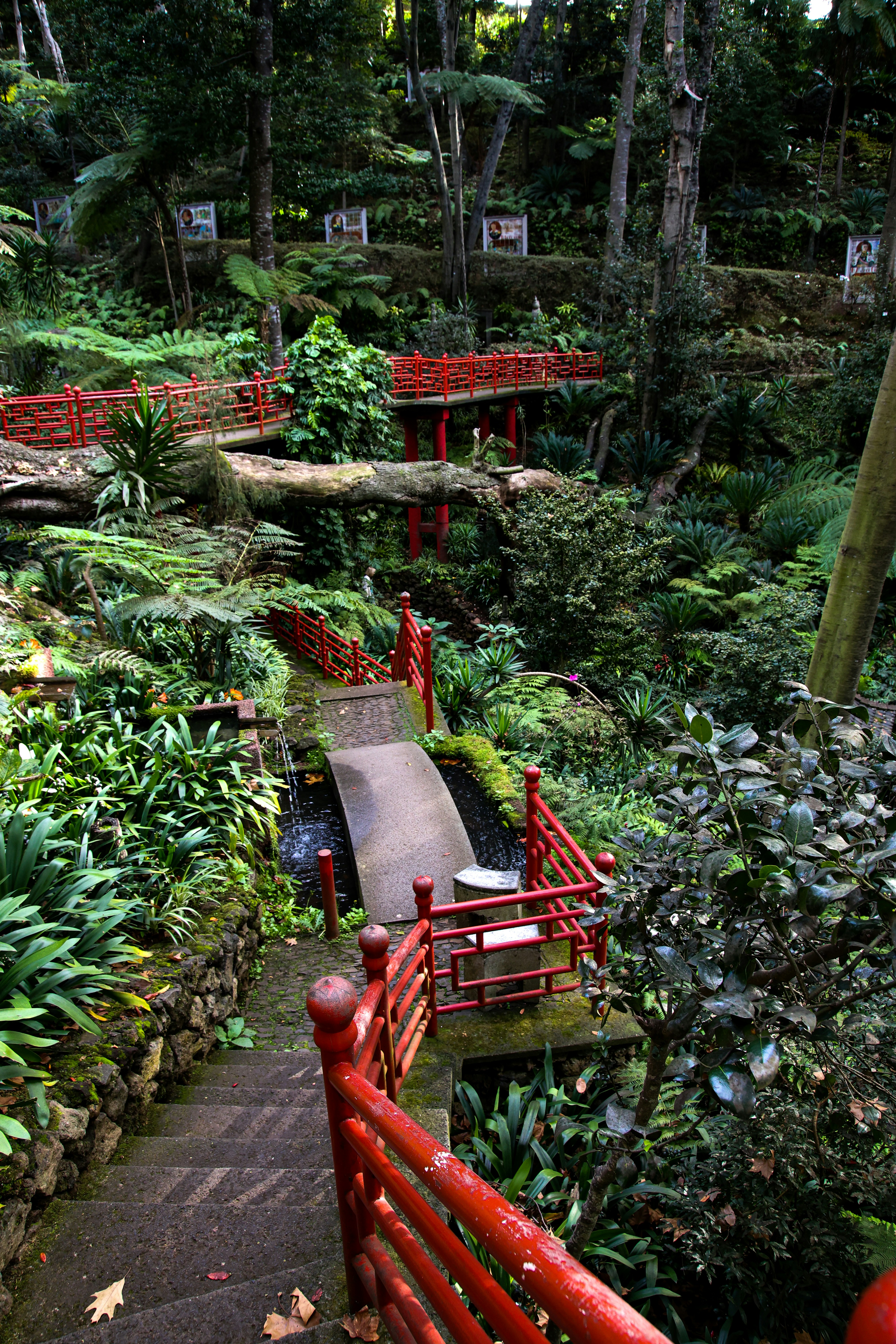A winding path leads through a lush, green garden.