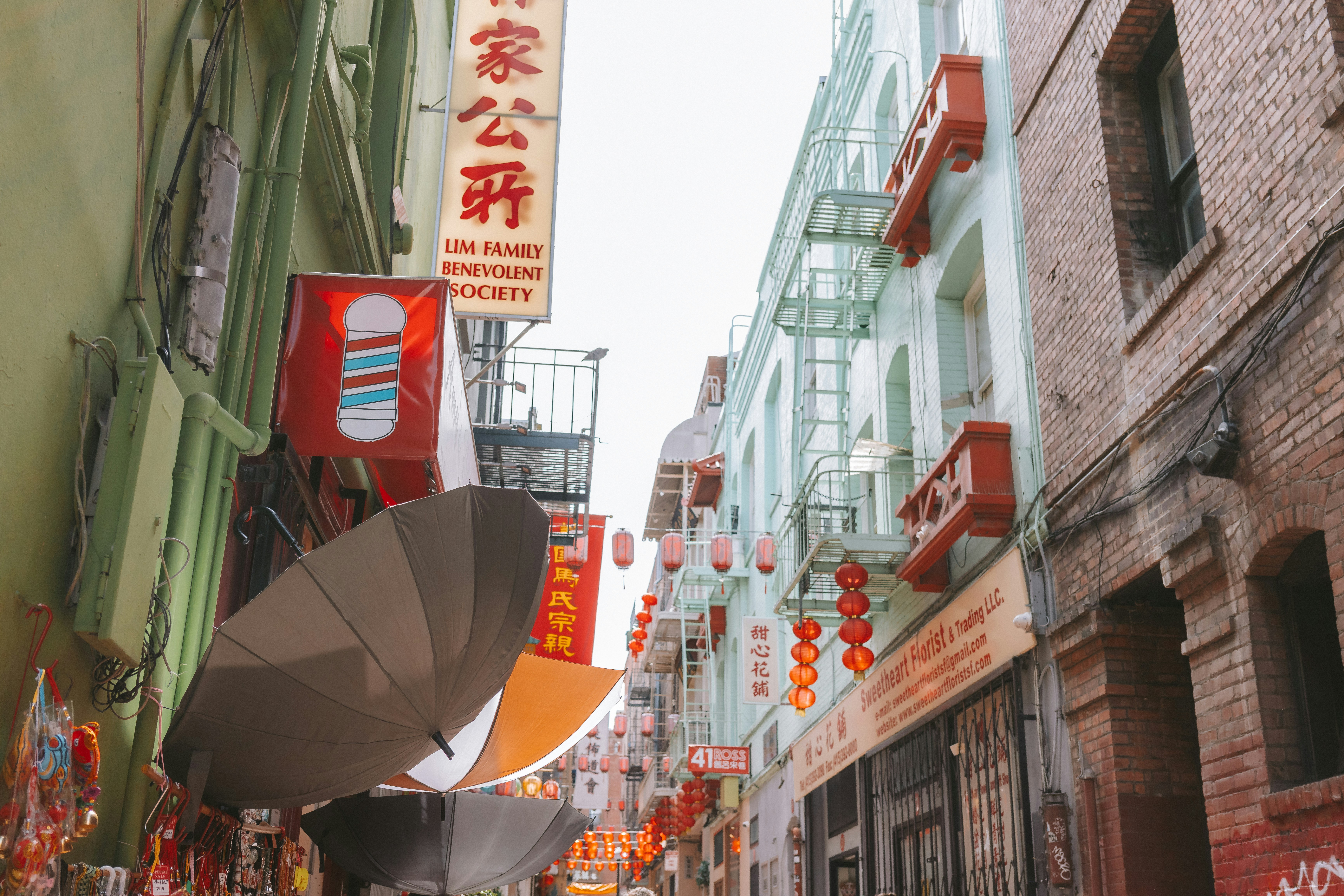 Photo by anniespratt