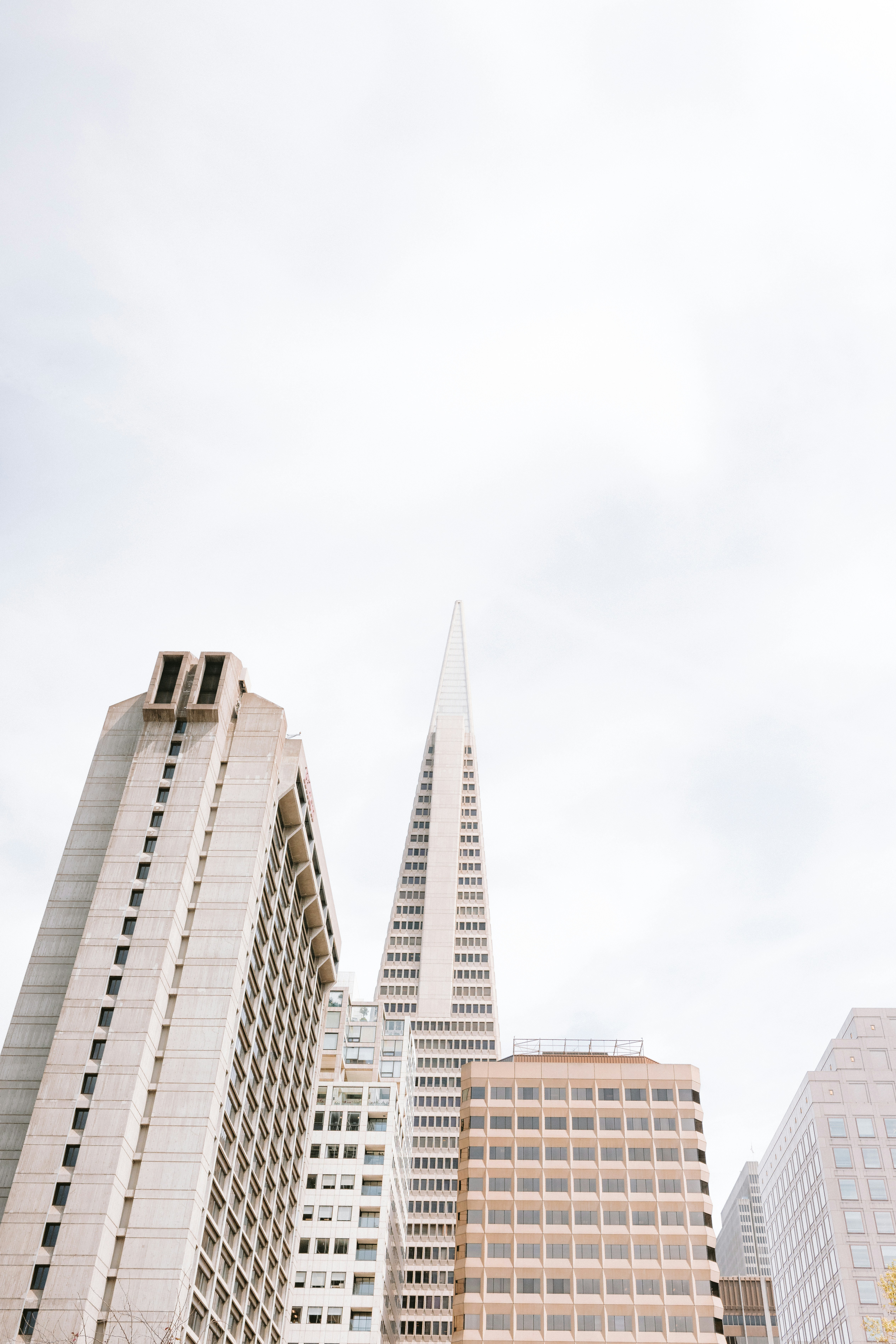 Photo by anniespratt