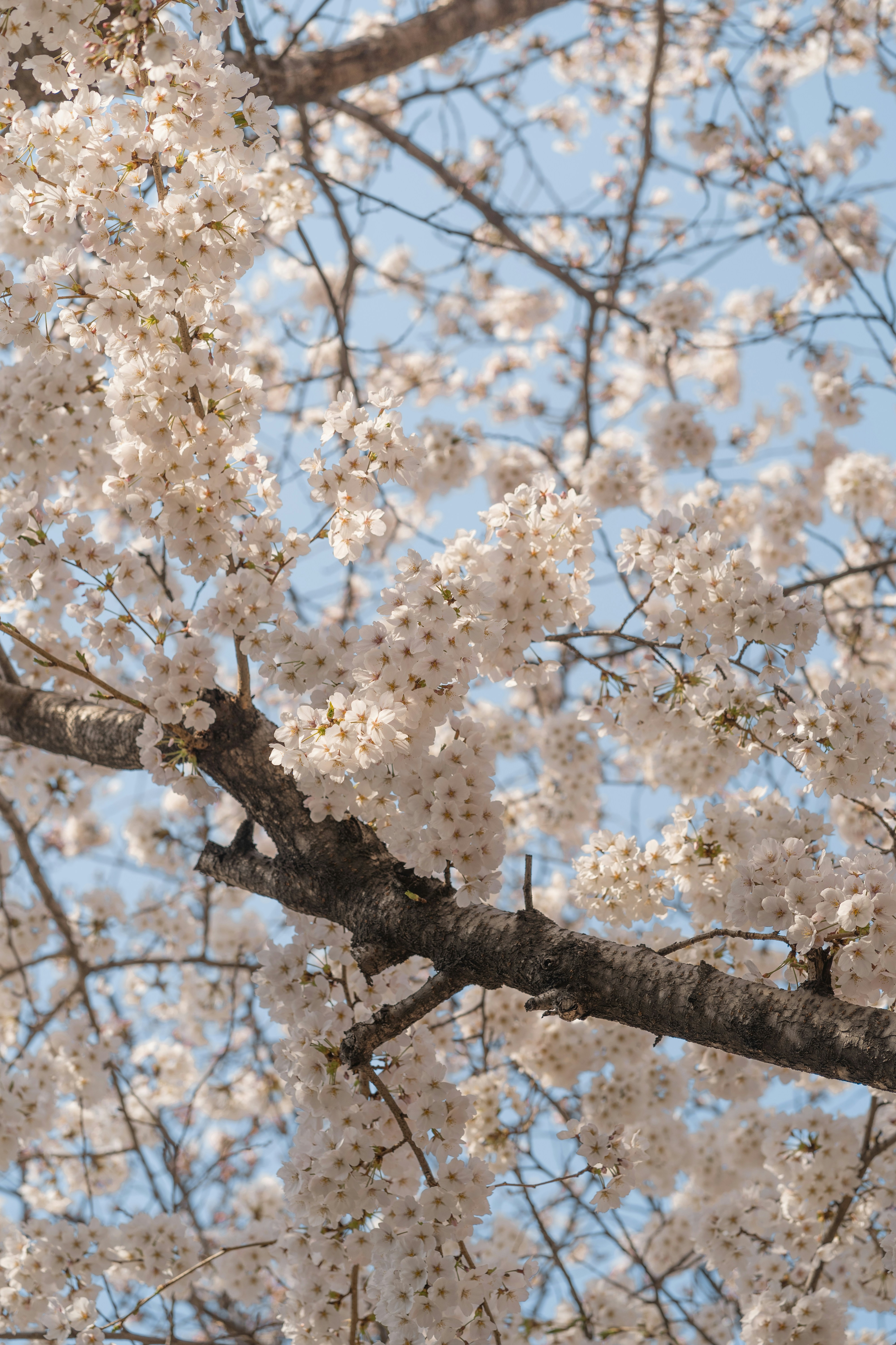 Photo by nunnunannalala