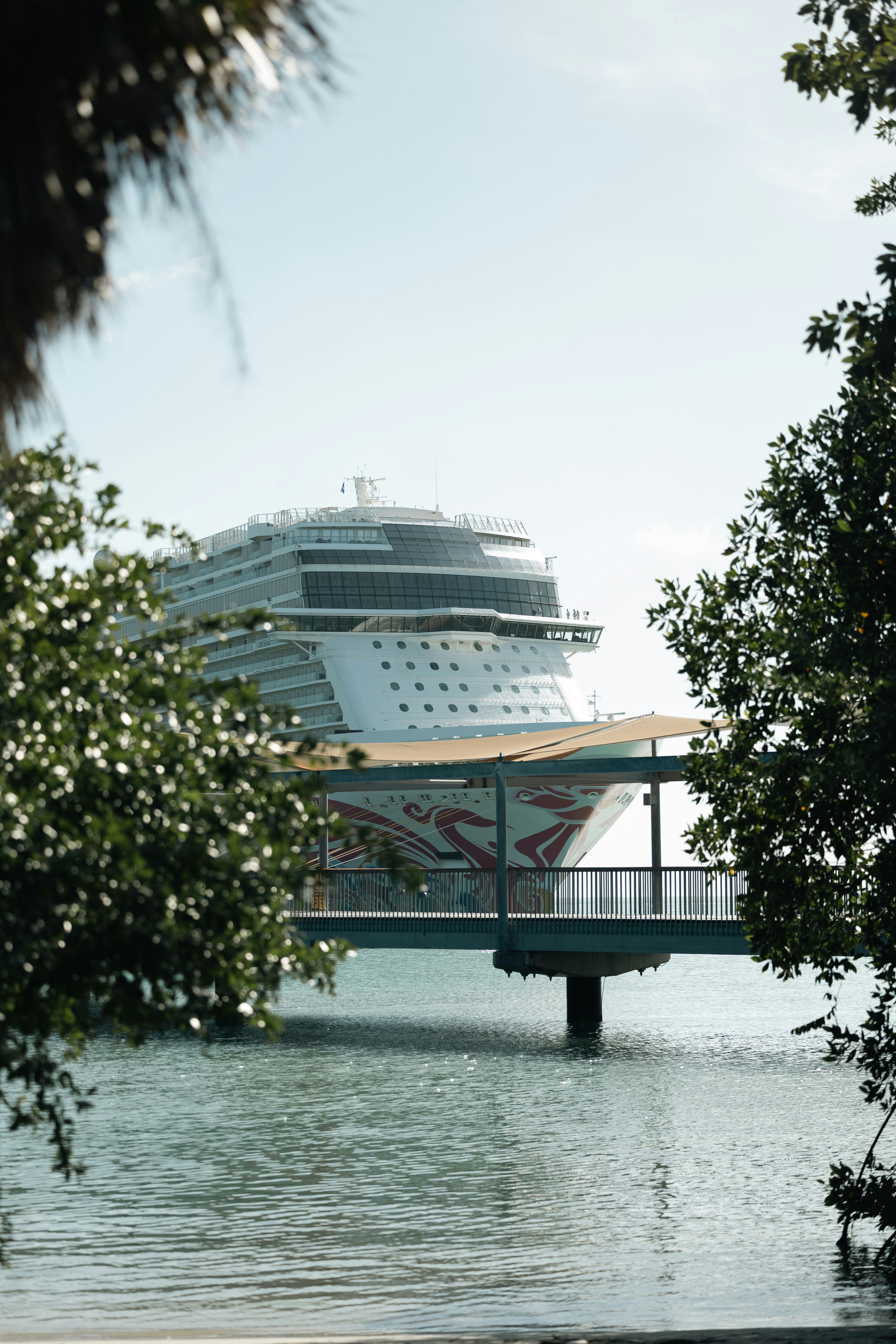 cruise ship front, work abroad, how to work abroad, cruise ship anchored to port with trees in foreground