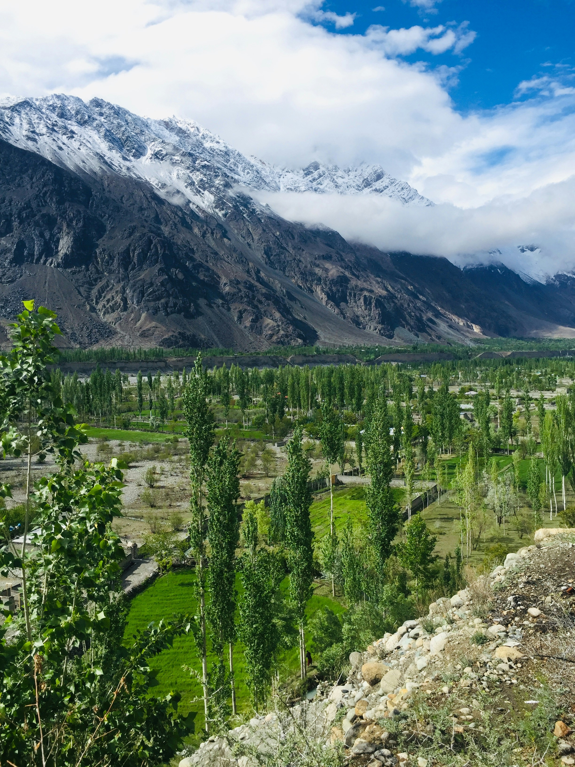 Photo by arsalrehman6